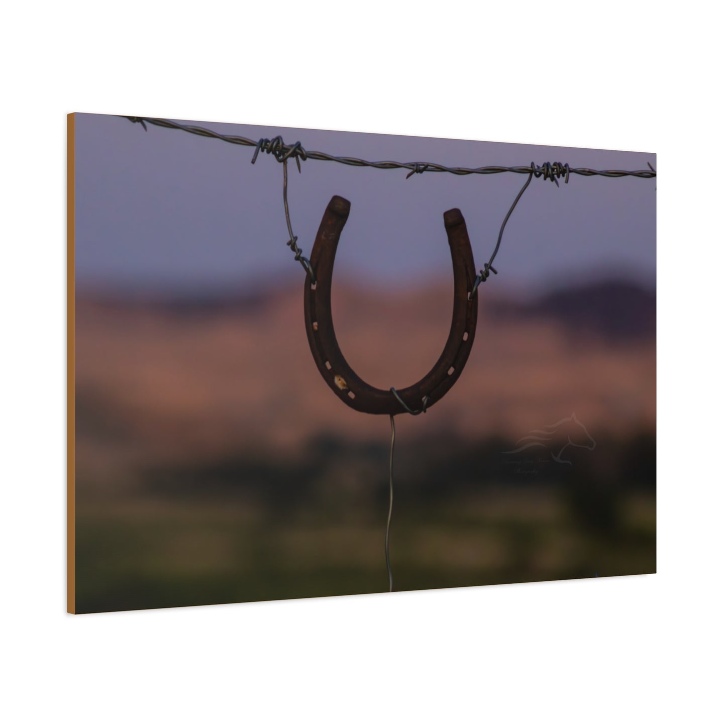 Rustic Horseshoe Canvas