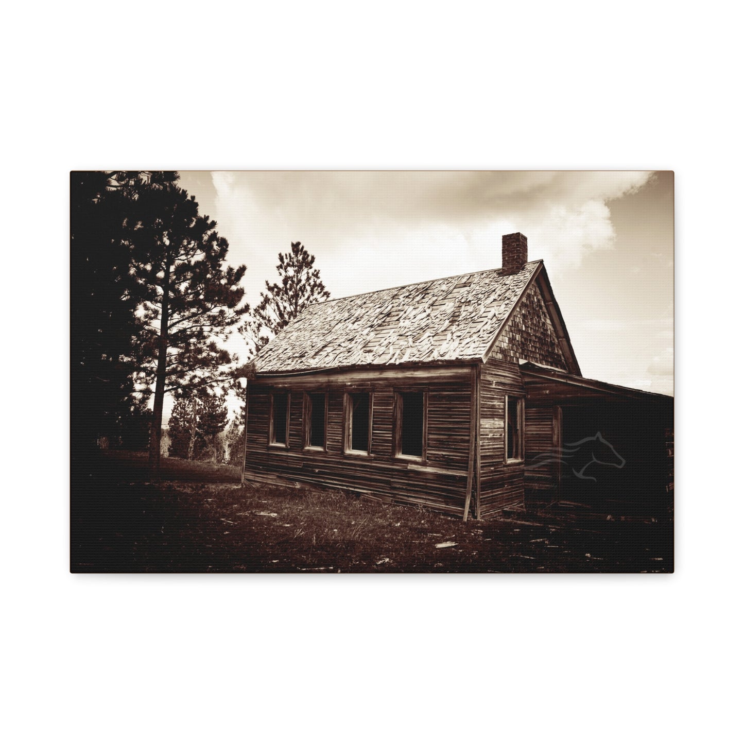 Rustic Bunk House Canvas