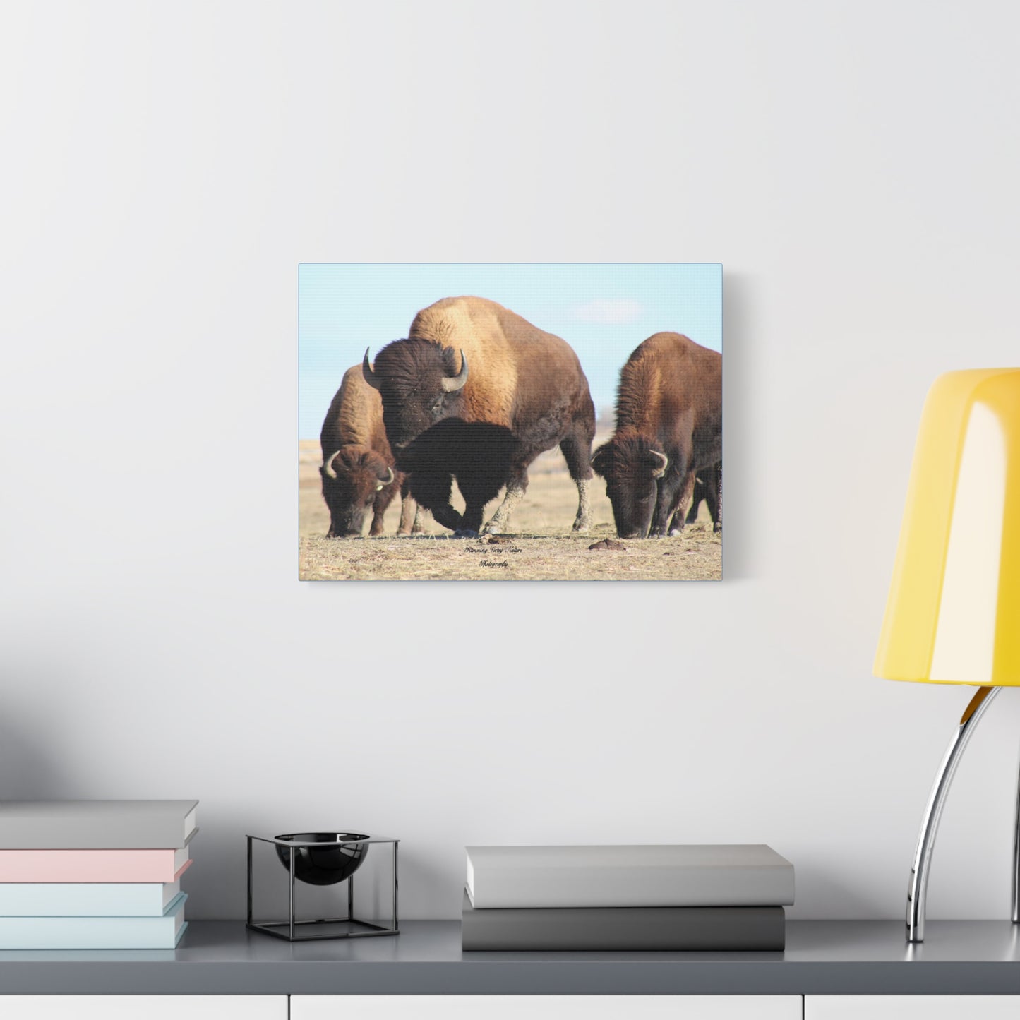 Buffalo Herd Matte Canvas, Stretched, 1.25"