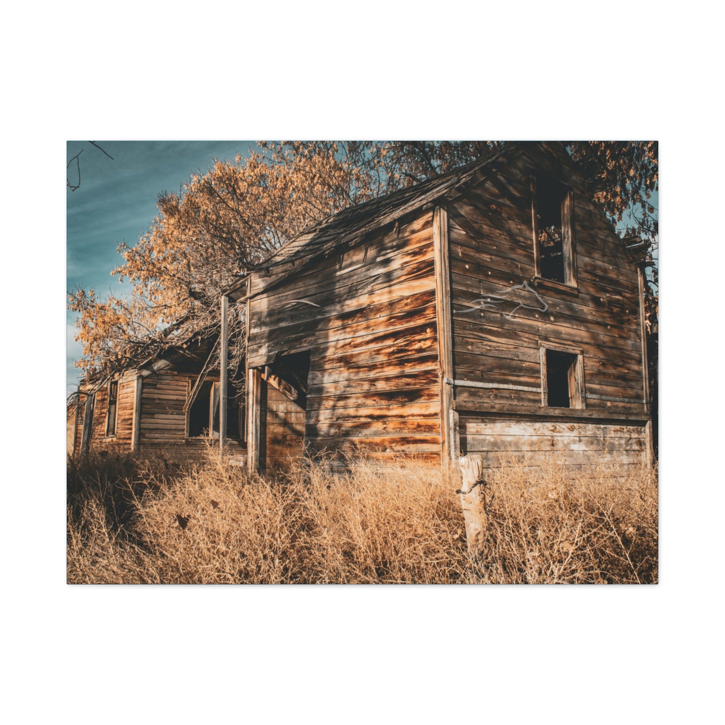 Vintage Cottage Canvas