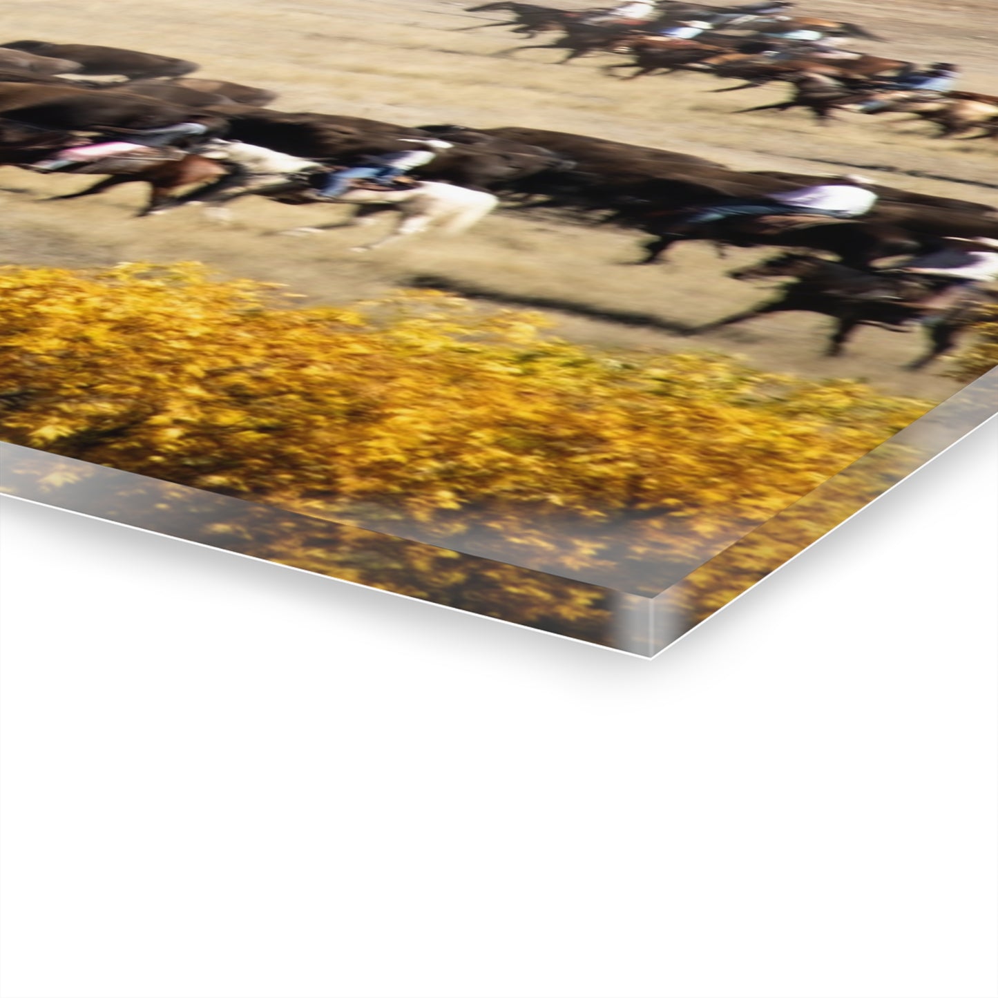 Cowboys and Buffalo Acrylic