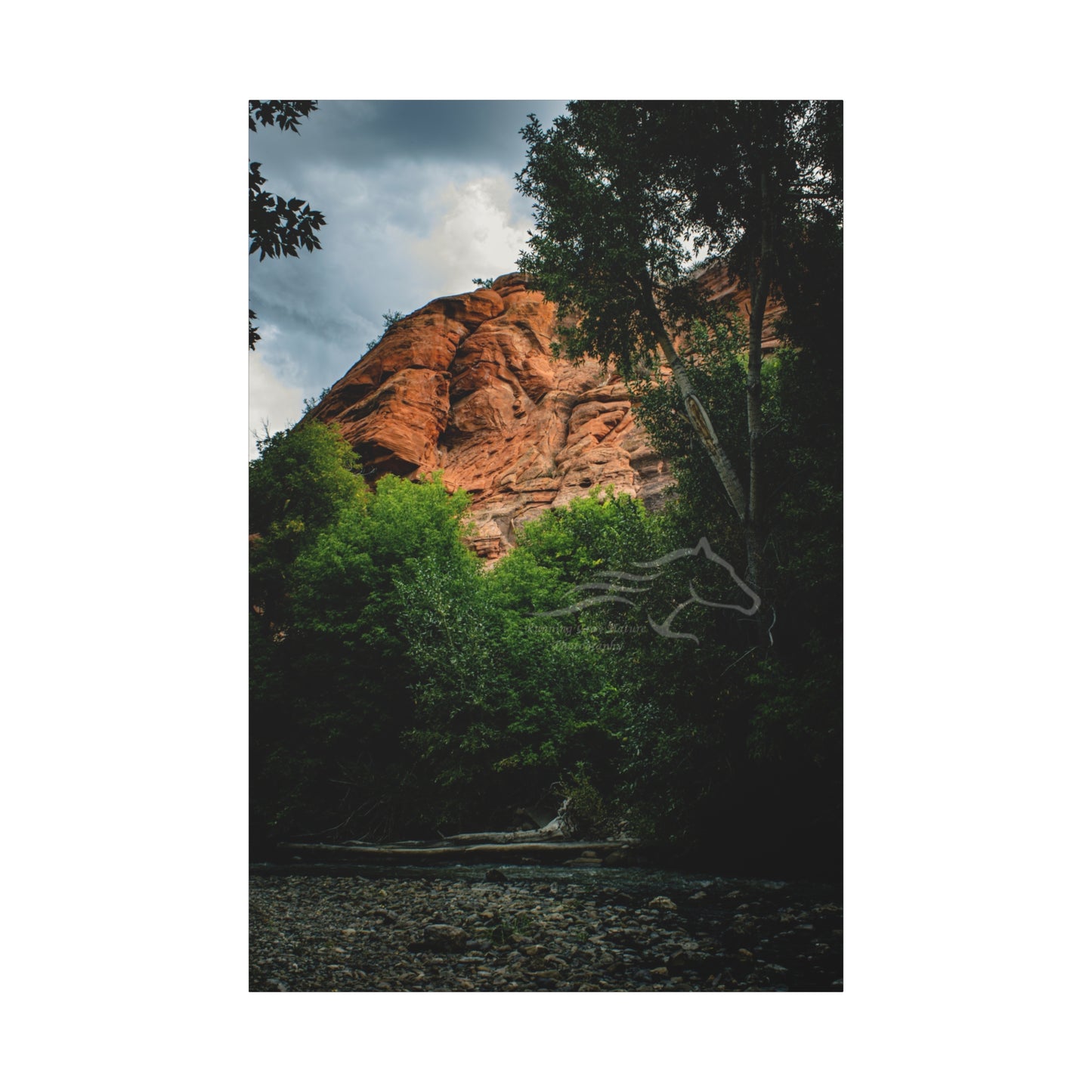 Red Rock Near Ayres Natural Bridge Canvas