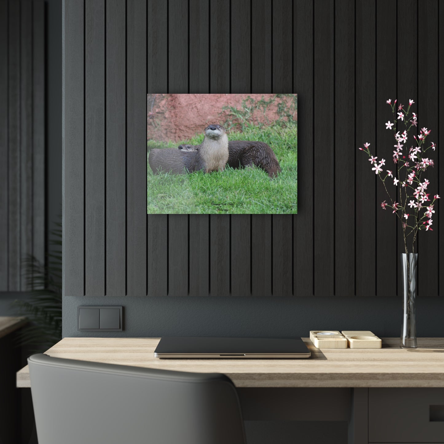 Otters Acrylic Prints