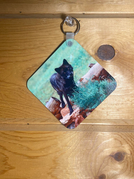 Black Wolf Key Chain