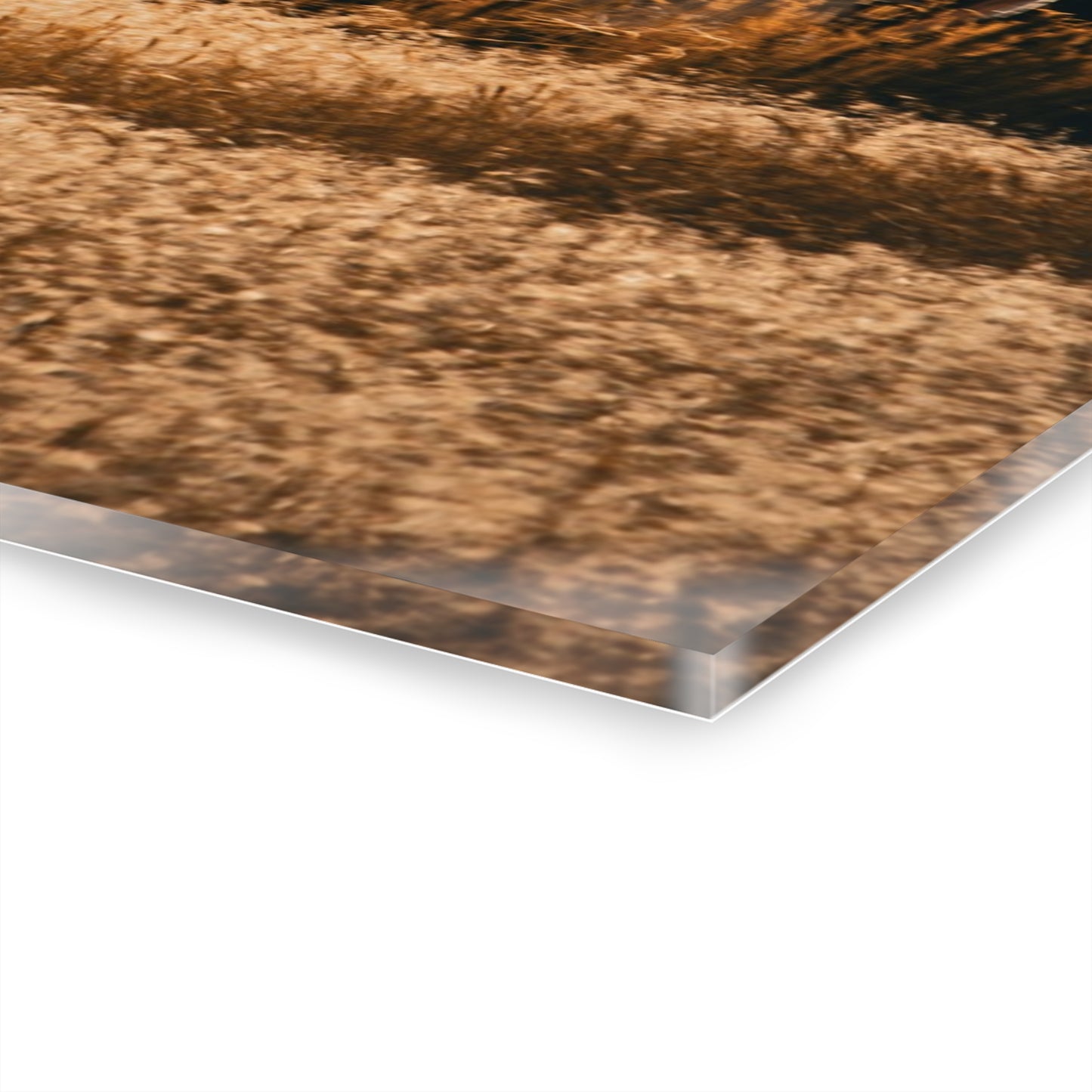 Rustic Farm Equipment Acrylic