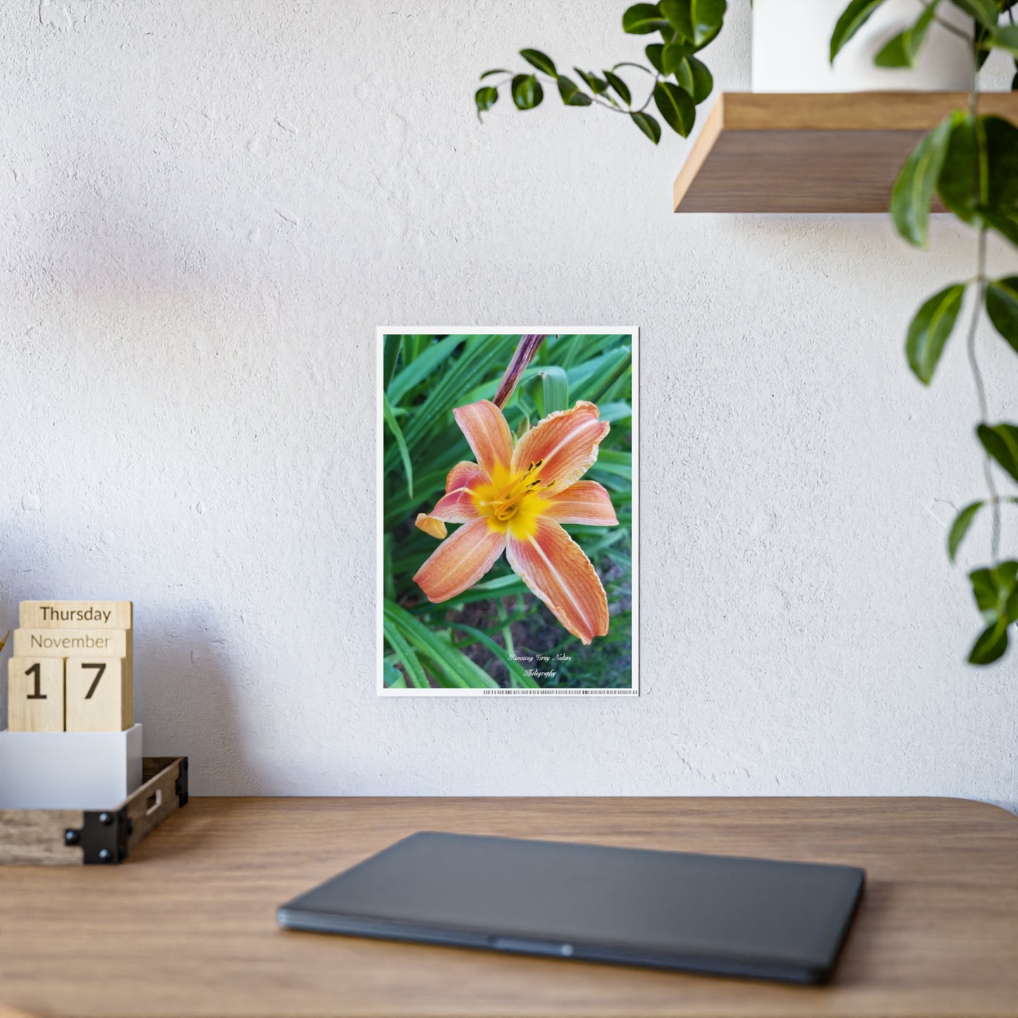 Posters Board Orange Day Lily