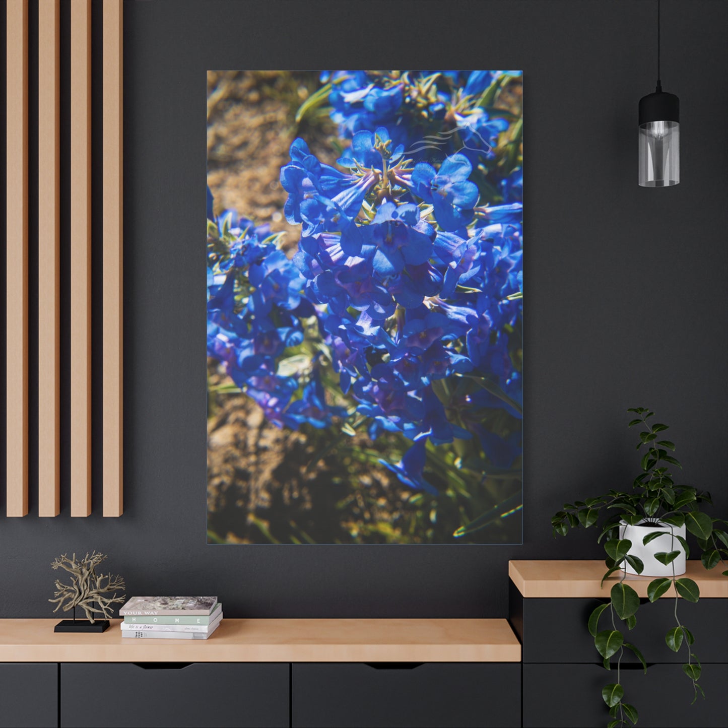 Rocky Mountain Beardtongue Canvas