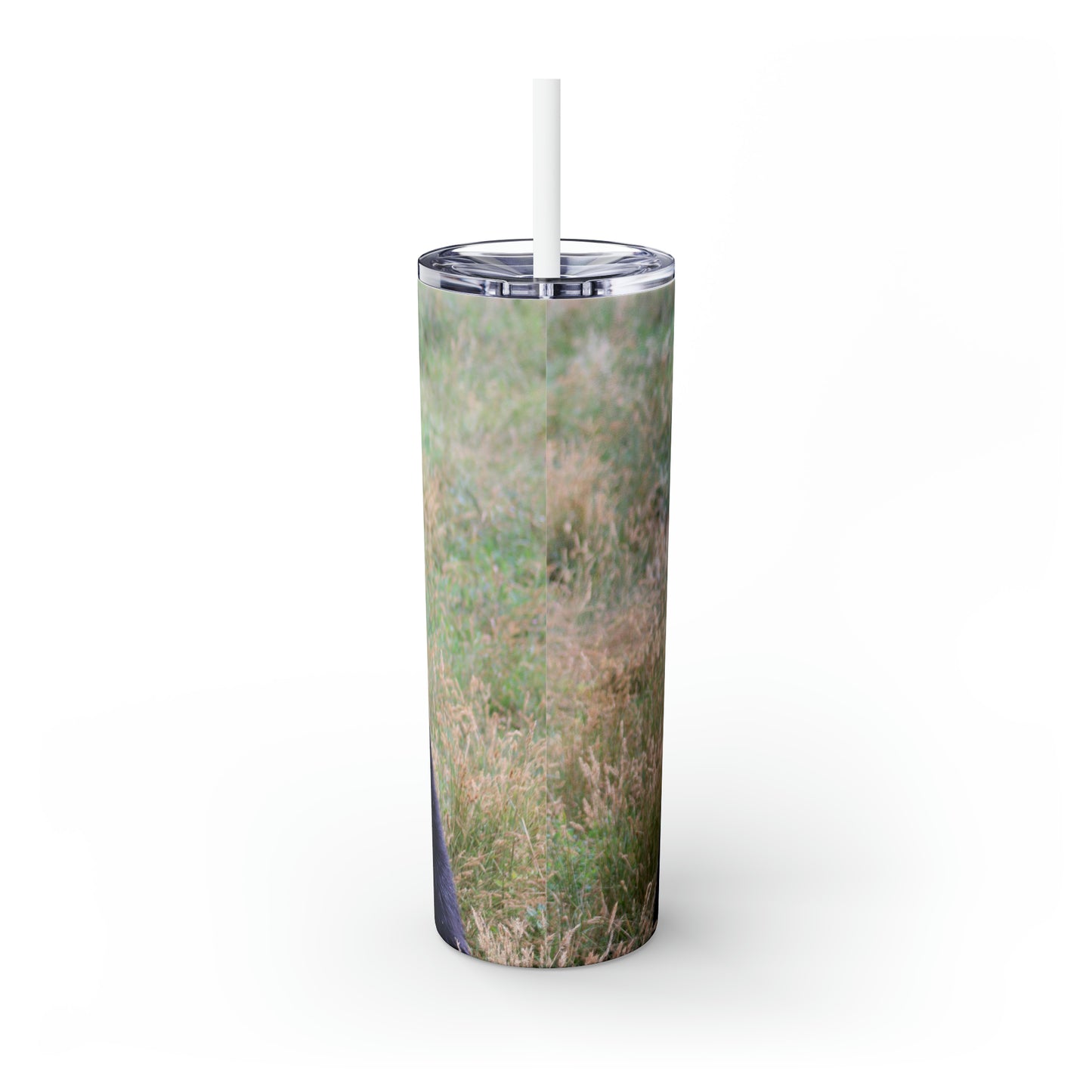 People Watching Skinny Tumbler with Straw, 20oz