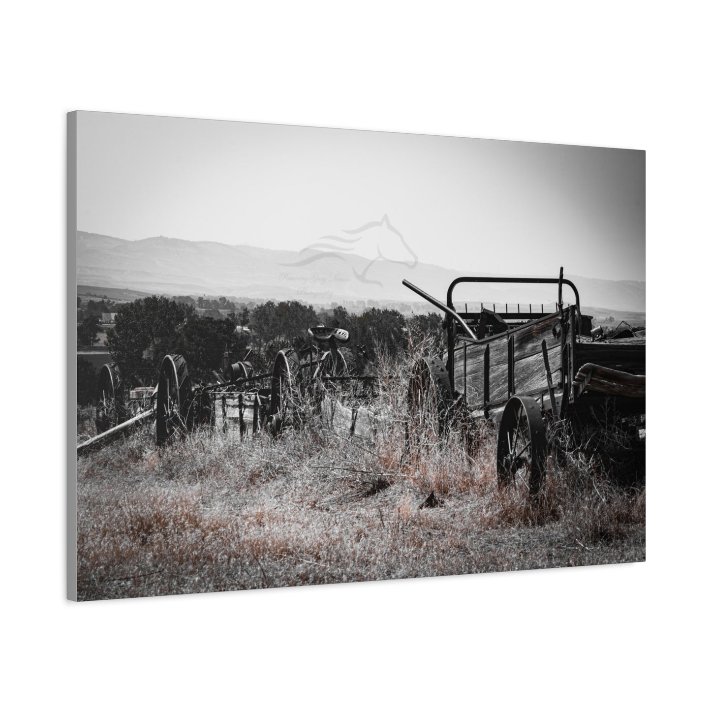 Rustic Black and White Wagon Canvas