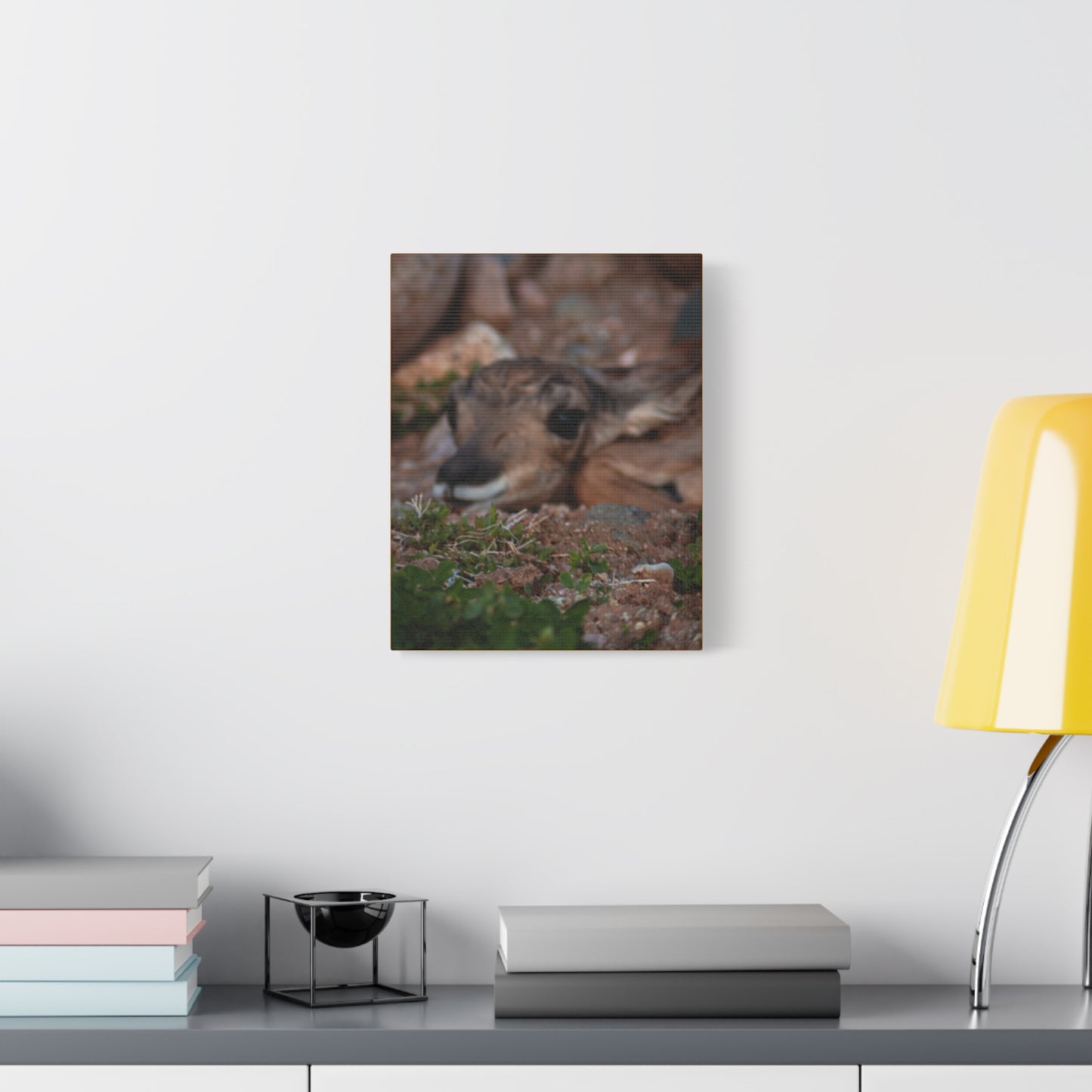 Gentle Antelope Fawn Canvas