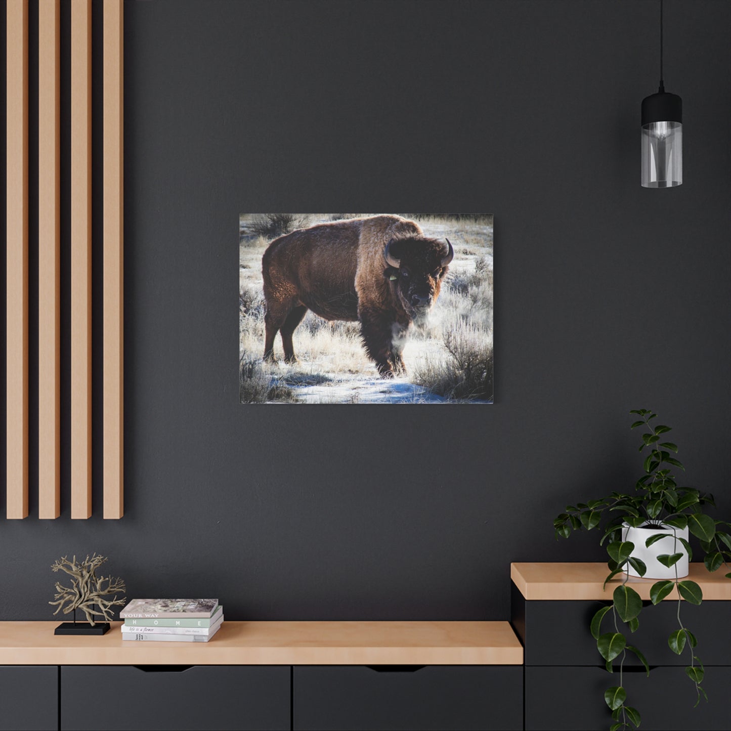 Early Morning Buffalo Canvas