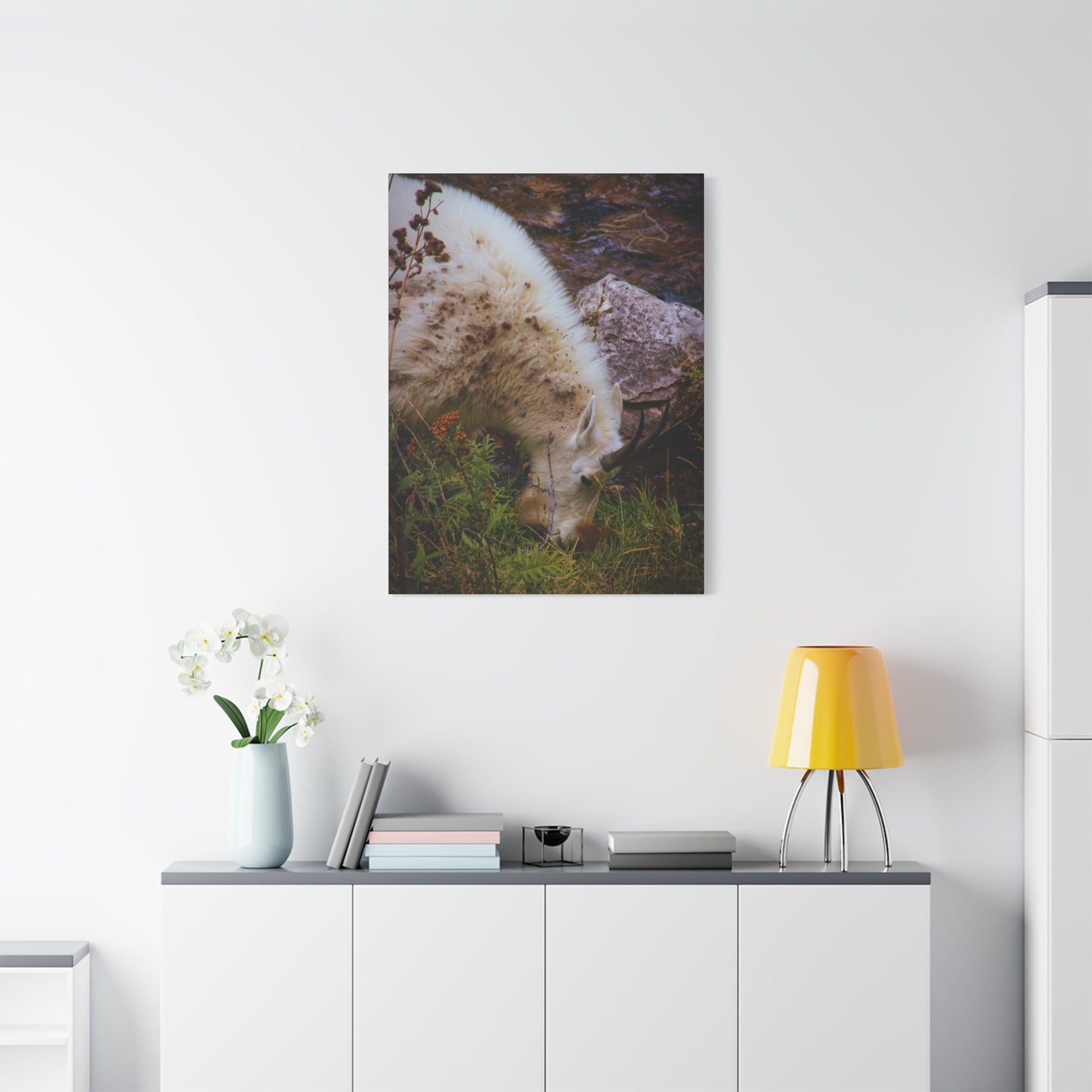 Mountain Goat Canvas