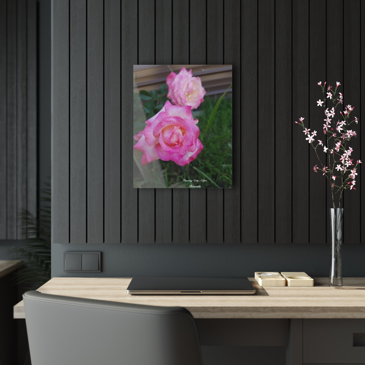 Pink Roses Acrylic Prints