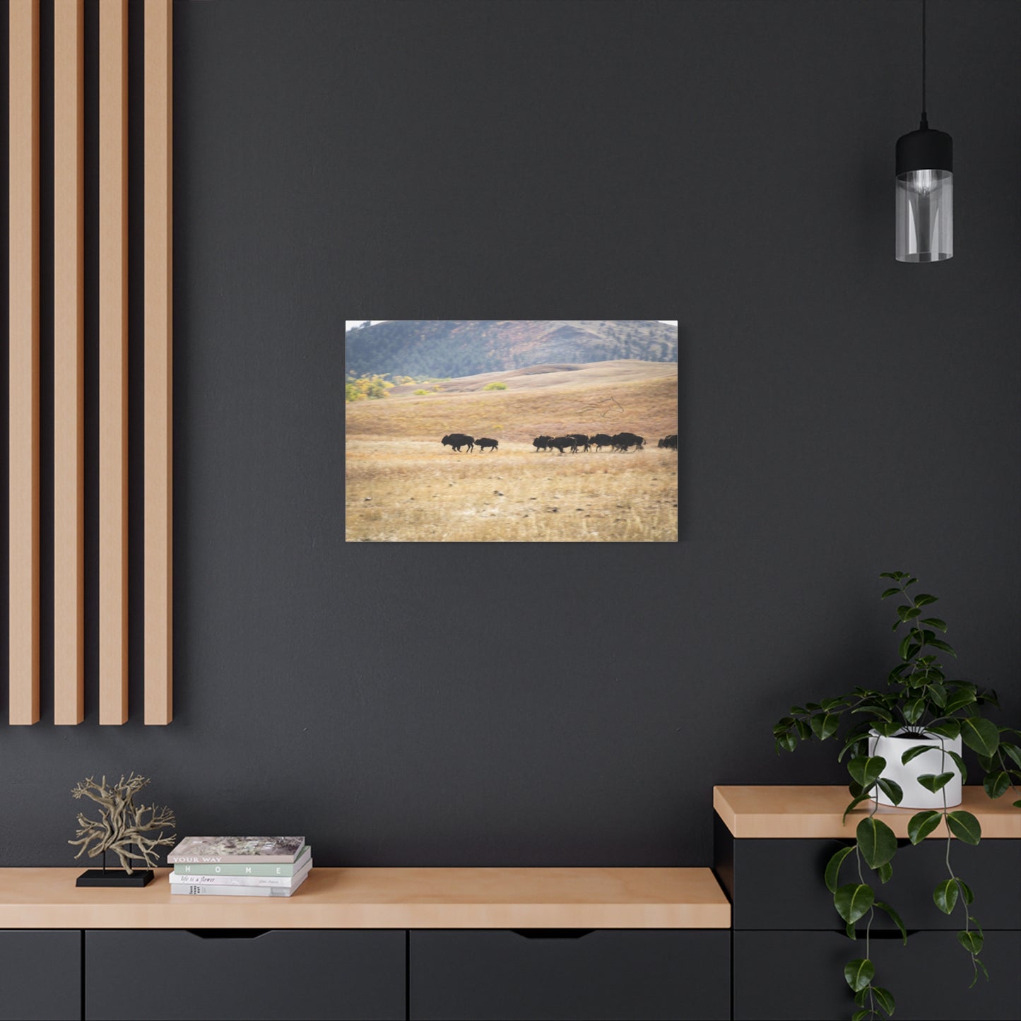 Beginning Buffalo Herd Canvas
