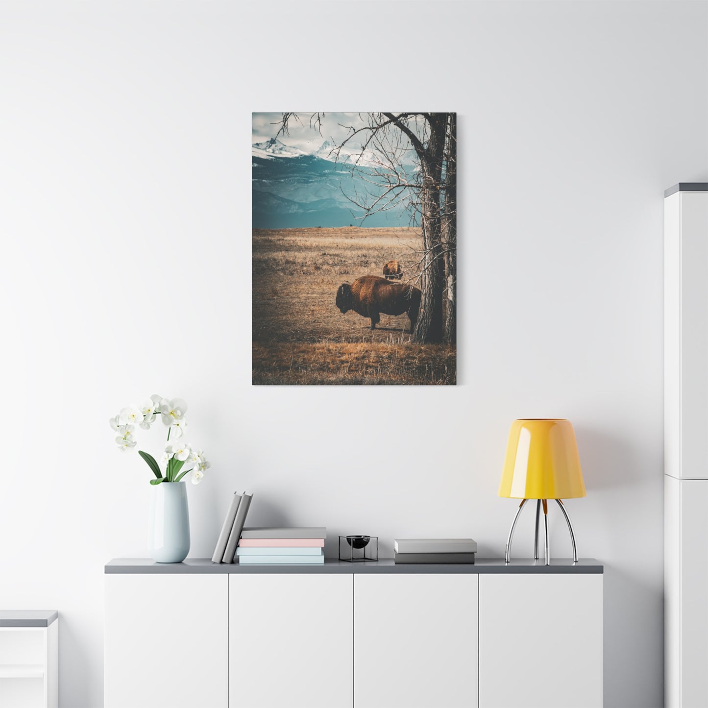 Rustic Bison Mountain Canvas