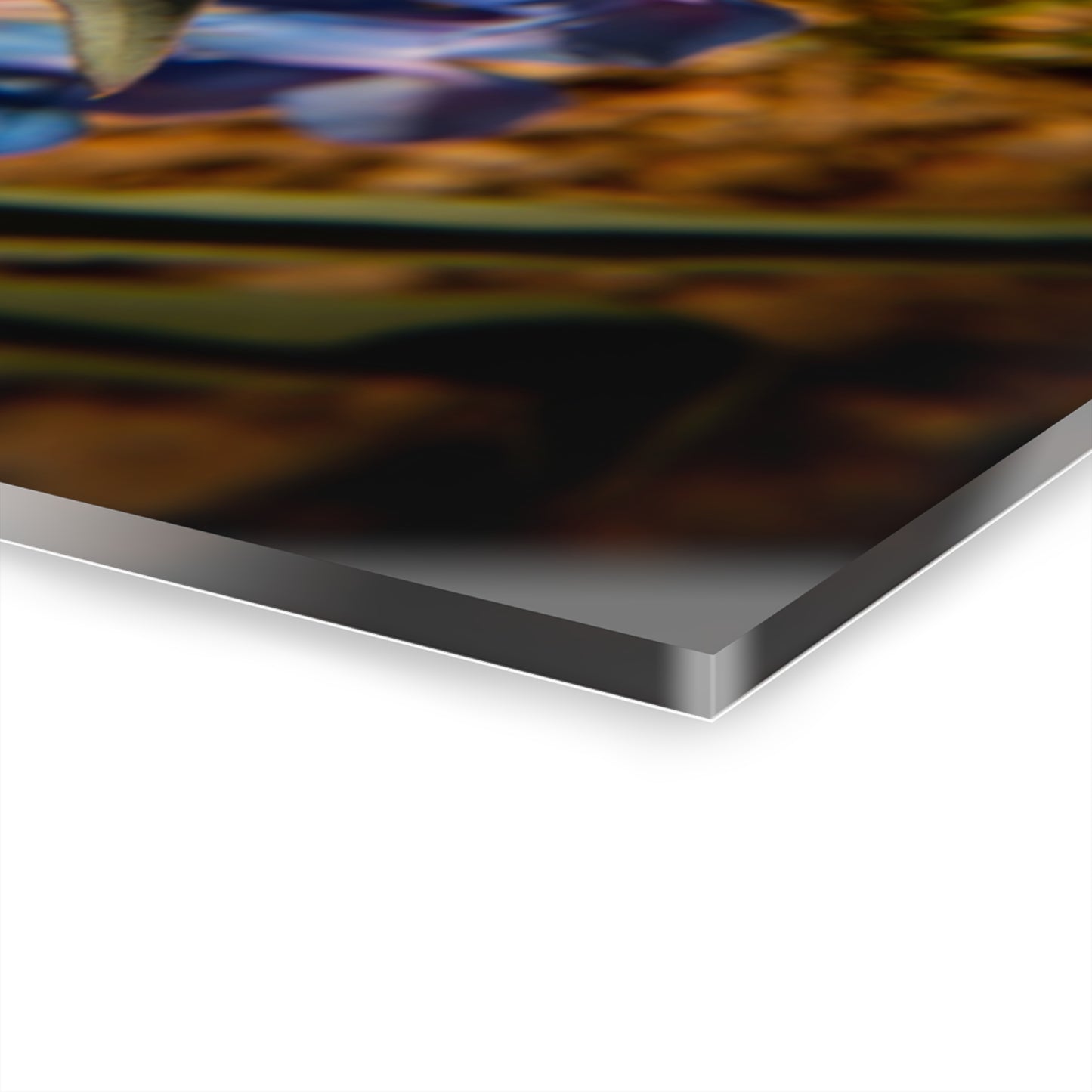 Showy Penstemon Acrylic