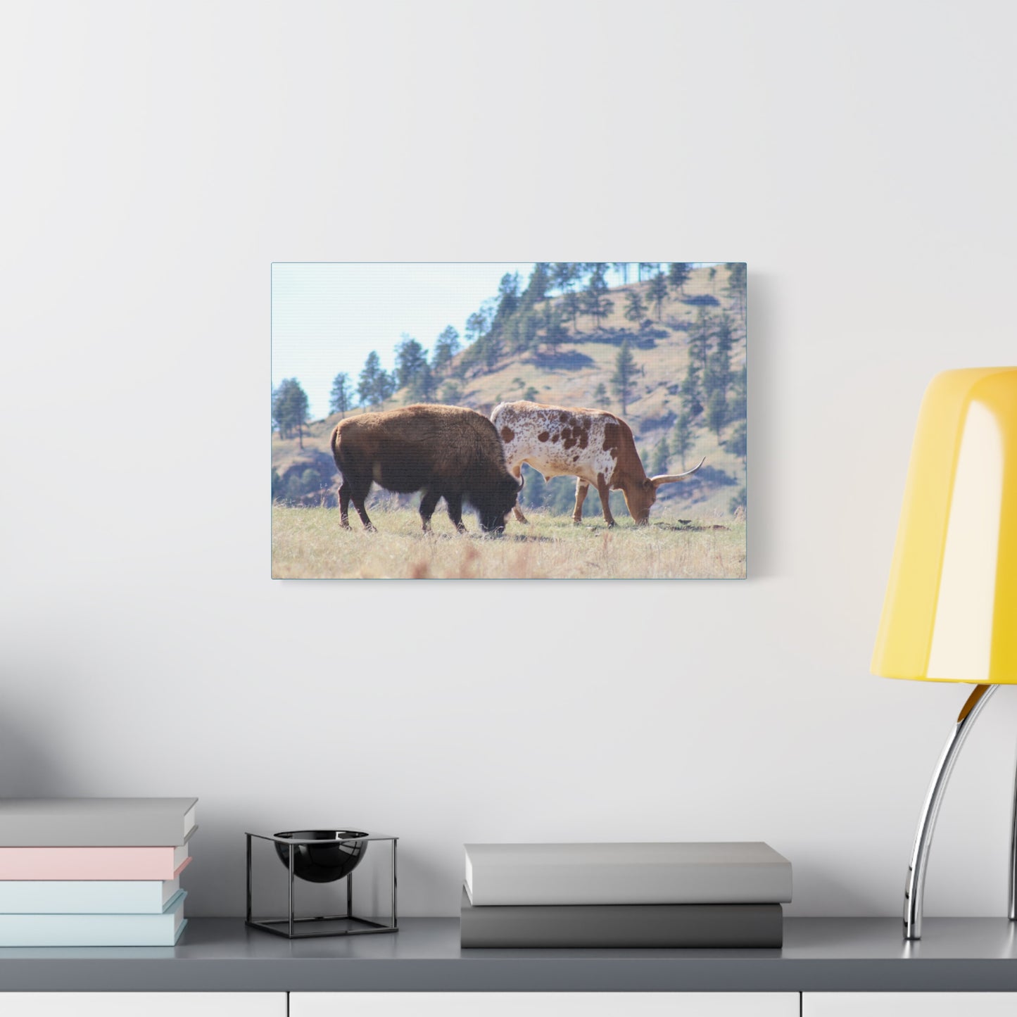 Long Horn and Buffalo Canvas