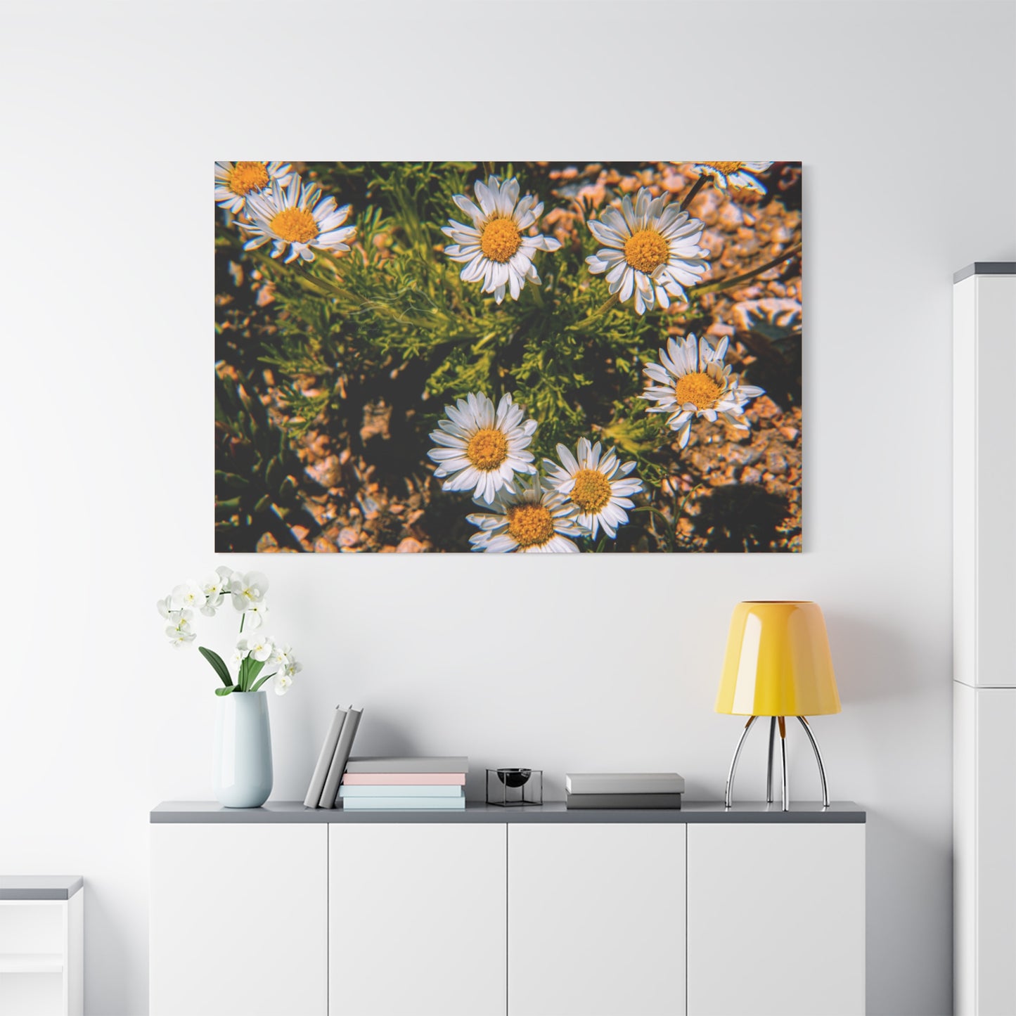 Wild Daisy Canvas