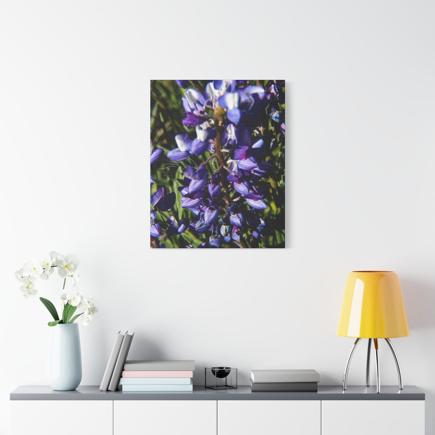 Arctic Lupine Canvas