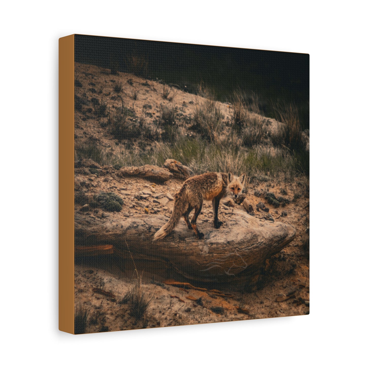 Rustic Fox Canvas