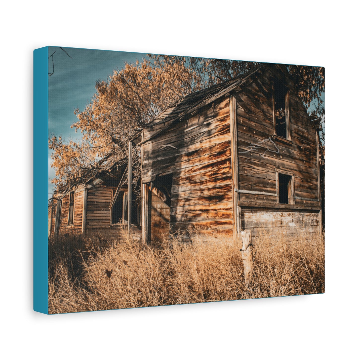 Vintage Cottage Canvas