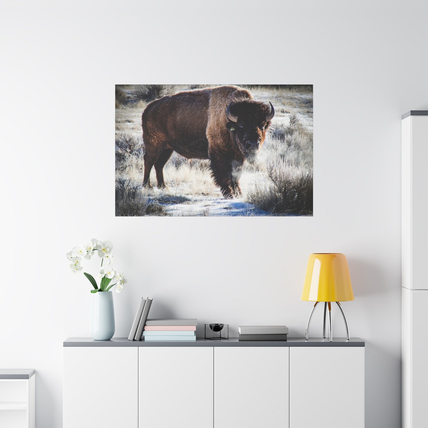 Early Morning Buffalo Canvas