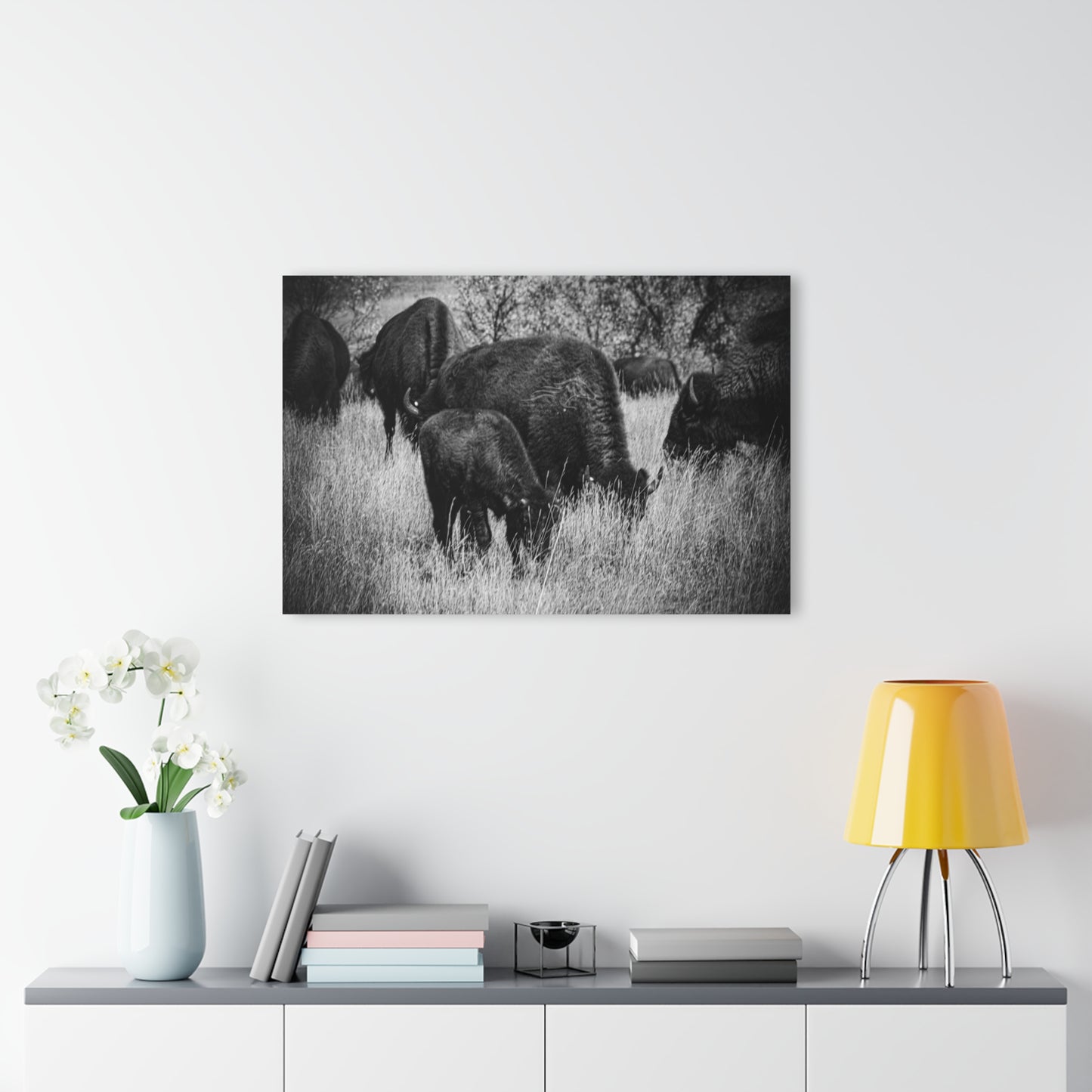 Black and White Buffalo Acrylic