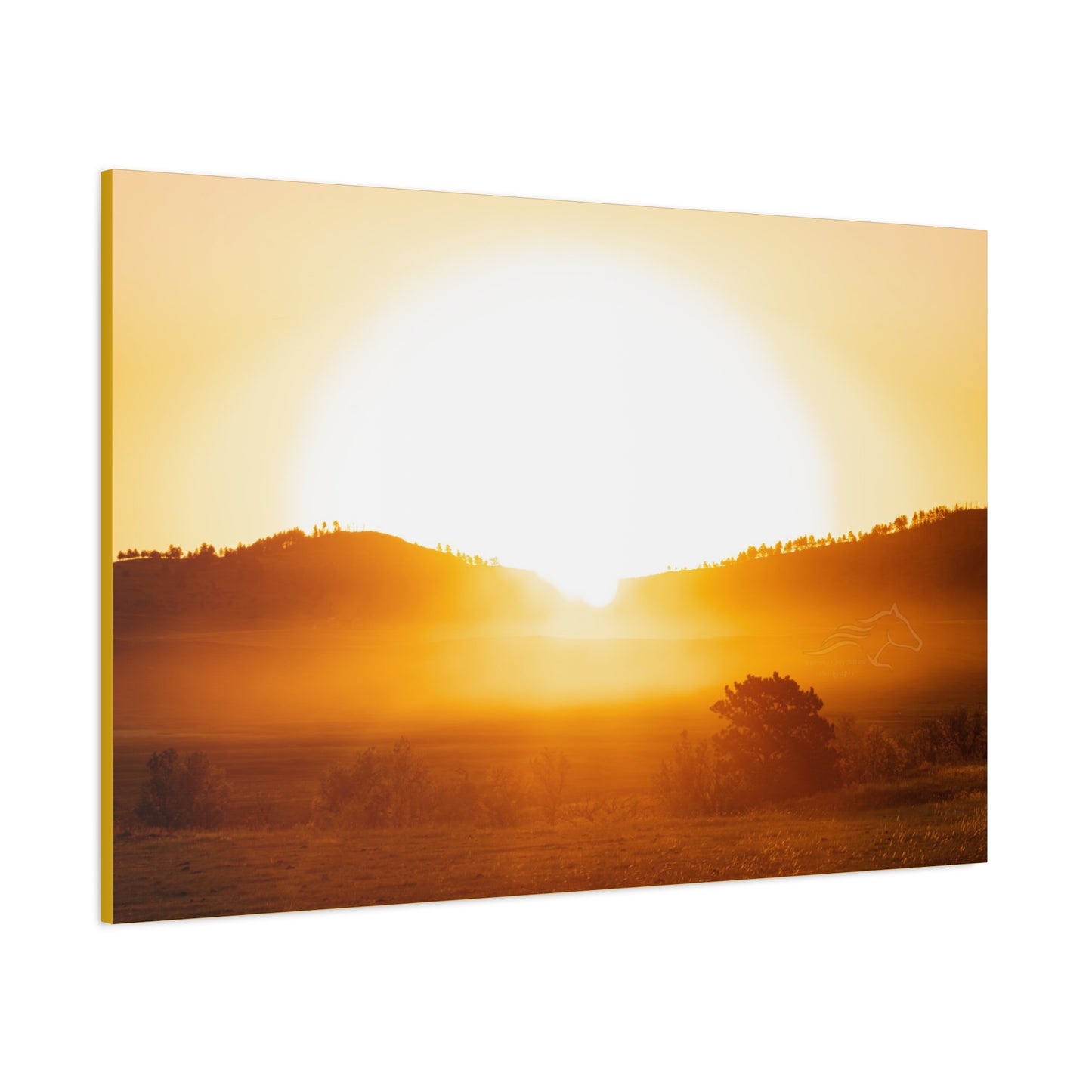 Buffalo Round Up Sunrise Canvas