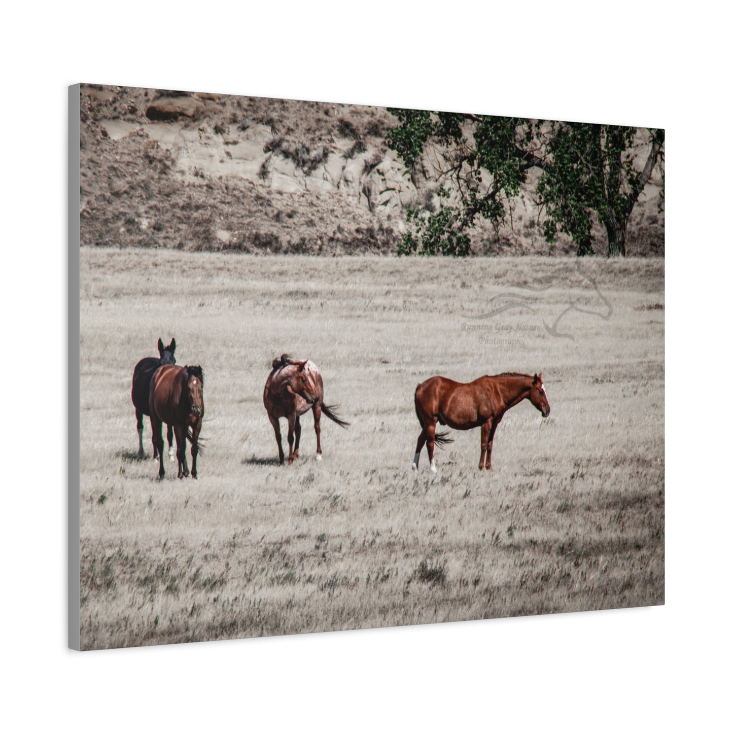 Not everything is Black and White