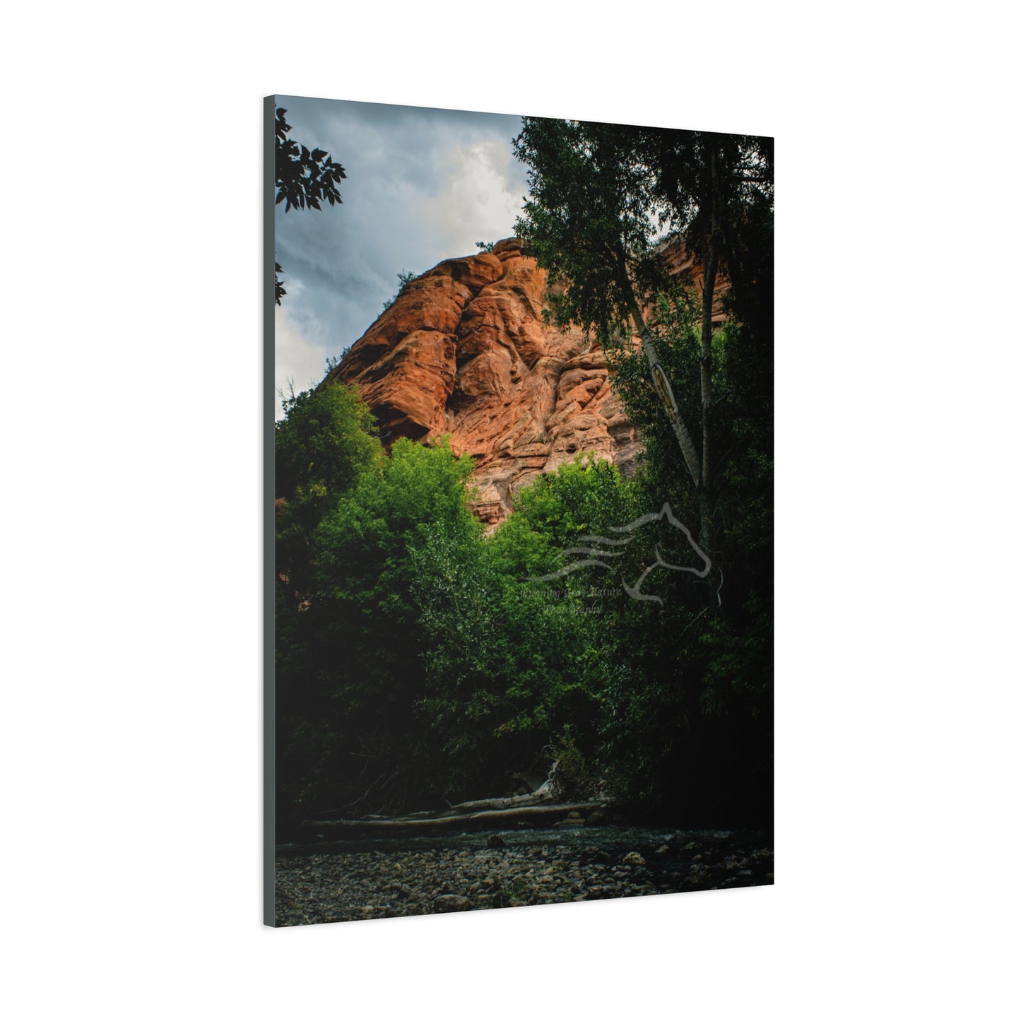 Red Rock Near Ayres Natural Bridge Canvas
