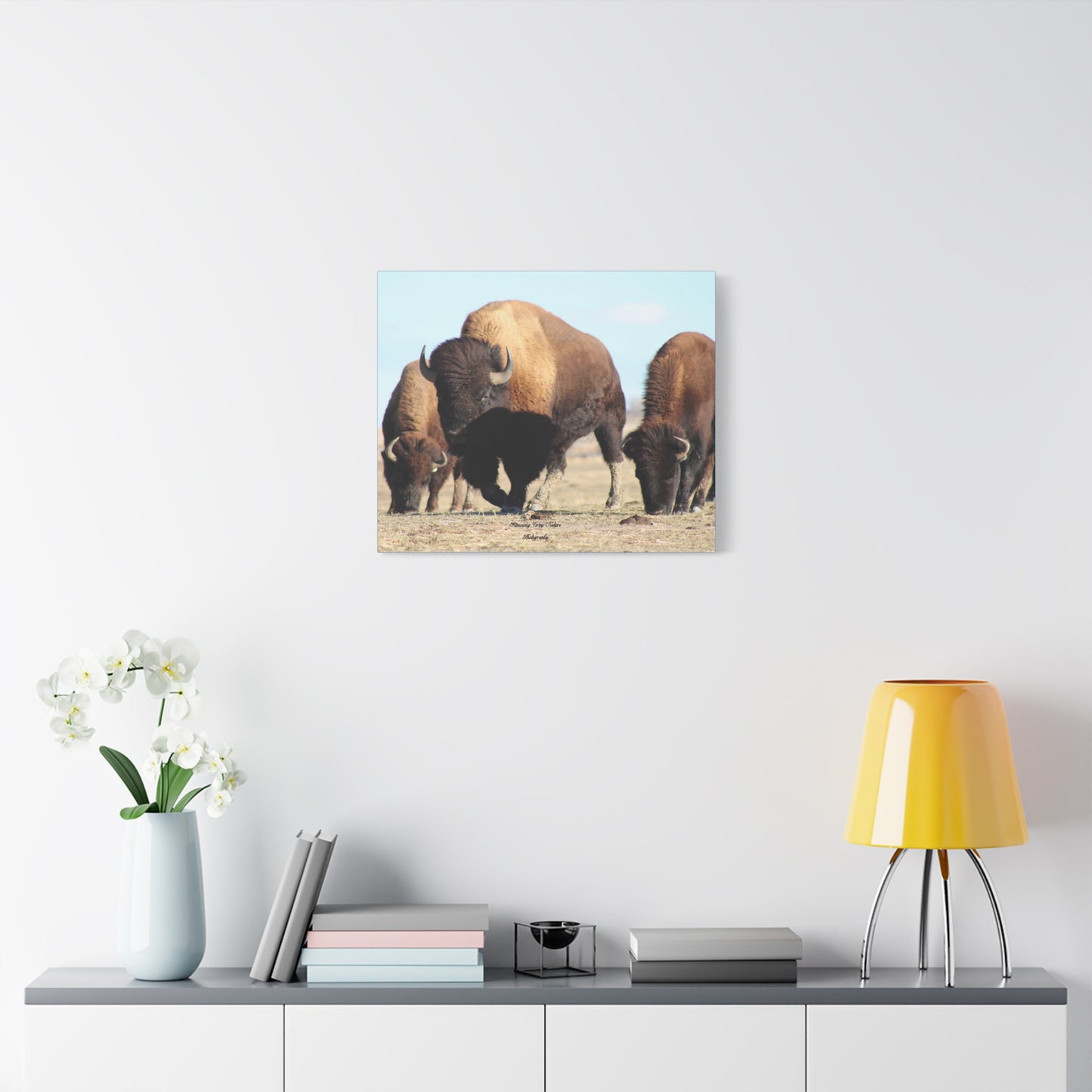 Buffalo Herd Matte Canvas, Stretched, 1.25"