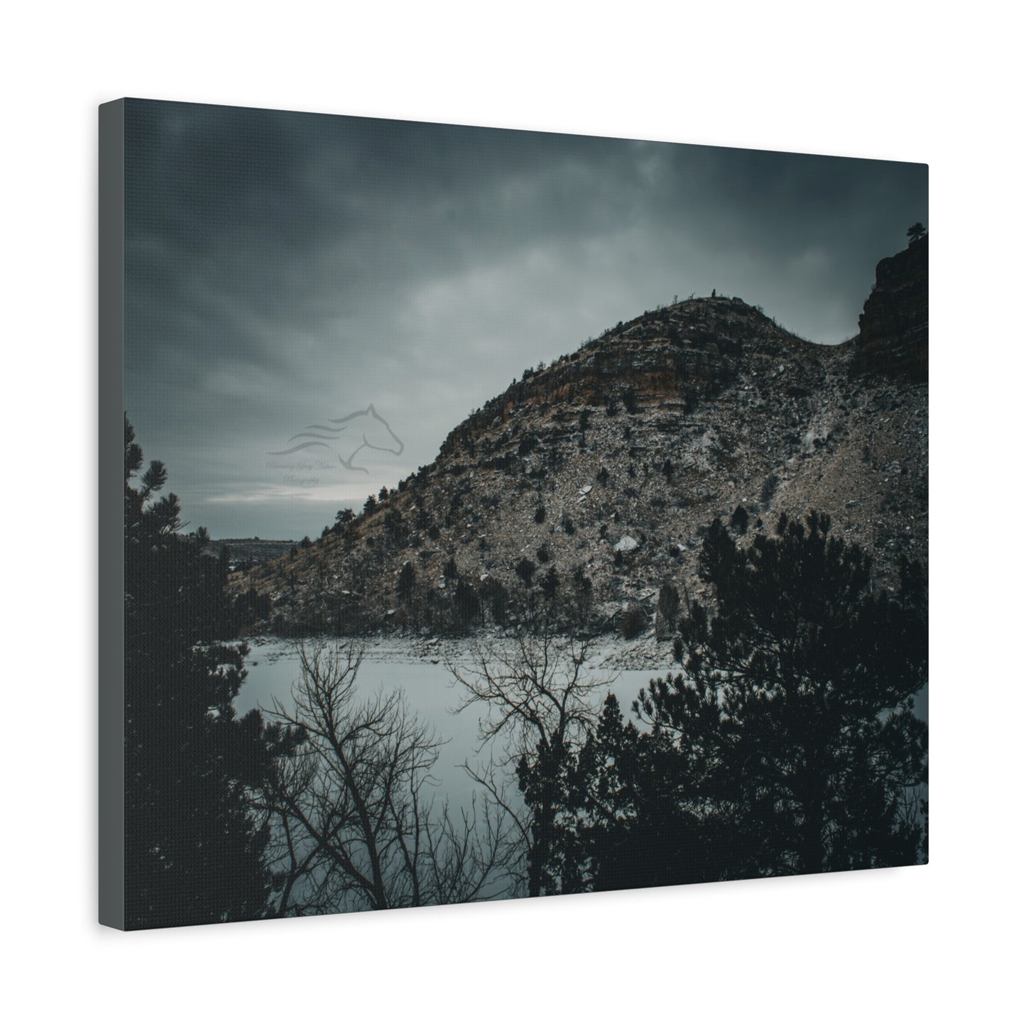 Moody Landscape Canvas