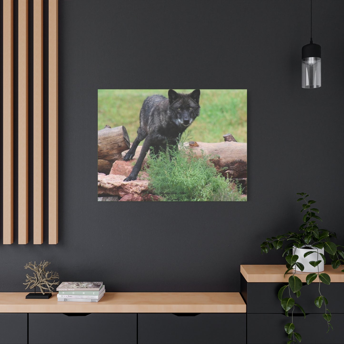 Black Wolf Matte Canvas, Stretched, 1.25"