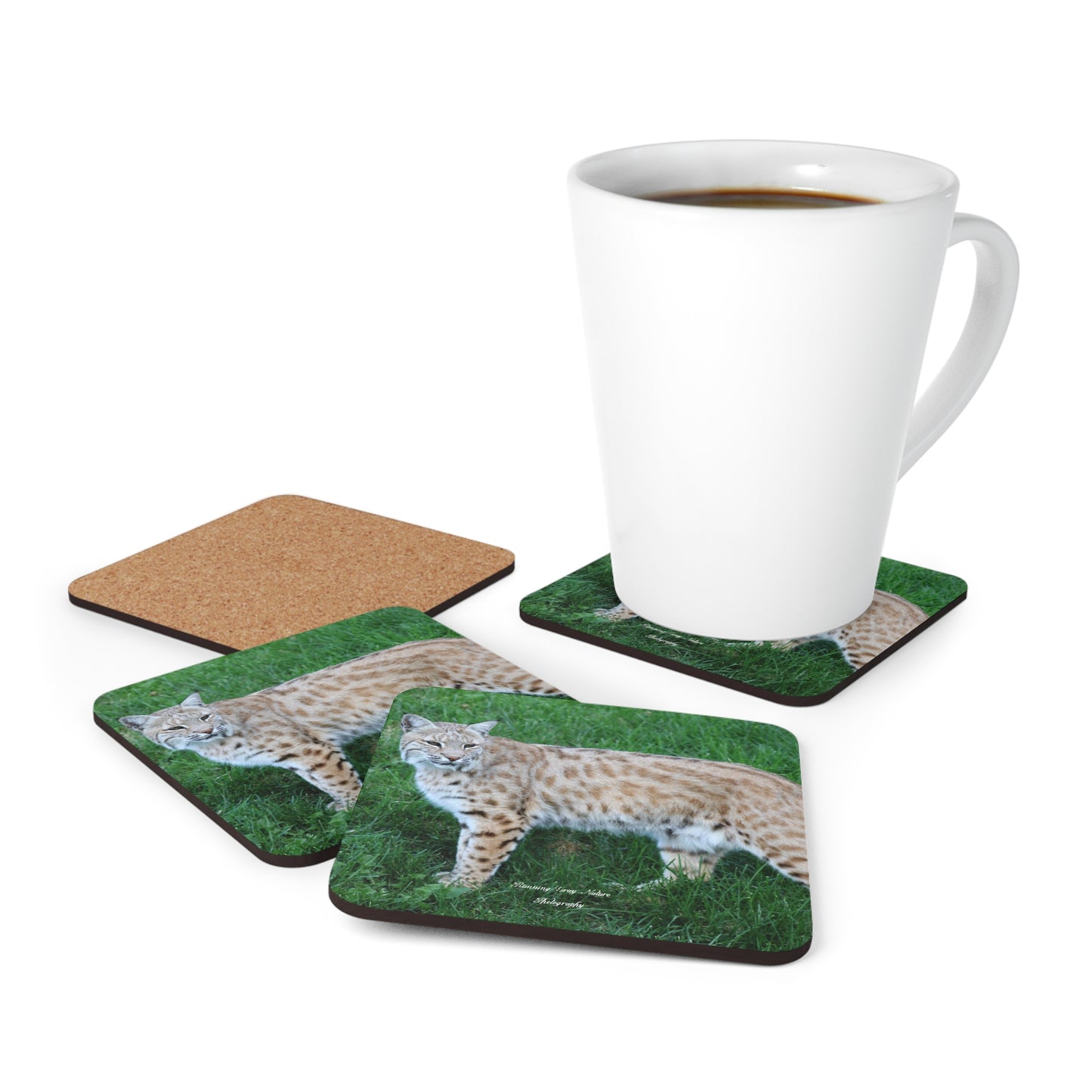 Bobcat Corkwood Coaster Set