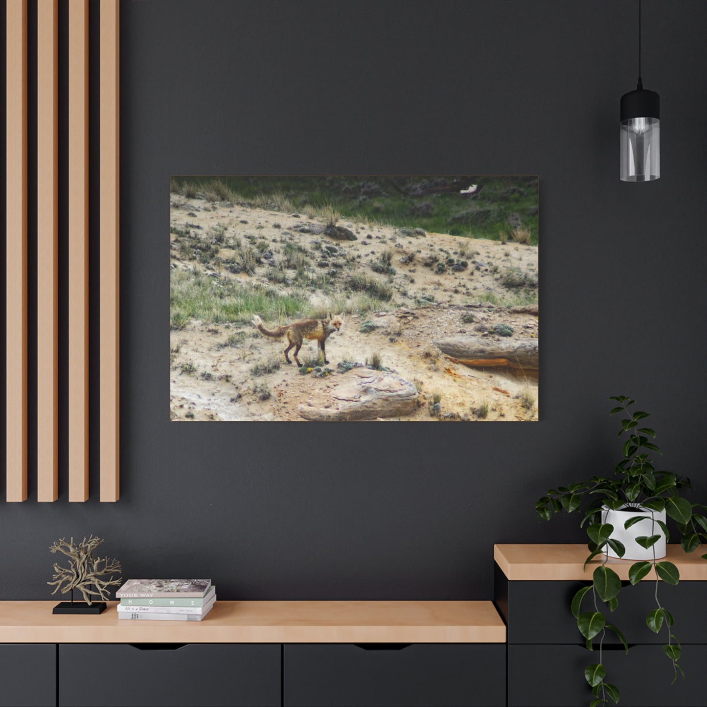 Swift fox and an Eagle