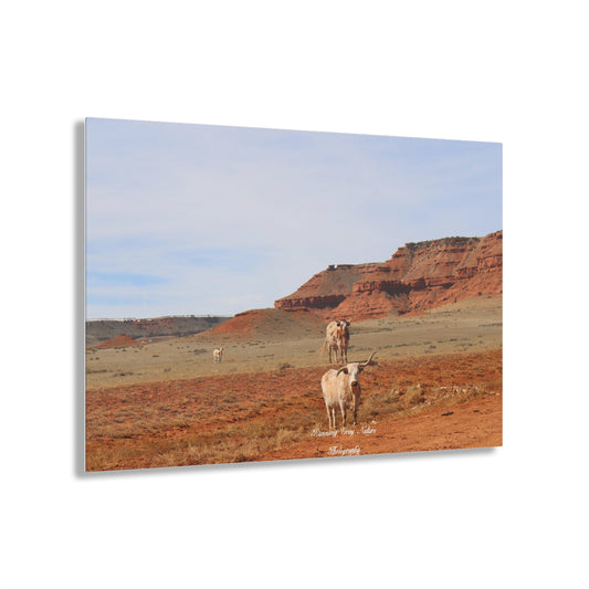 Mismatch Long Horn Hole in the Wall, WY Acrylic Prints