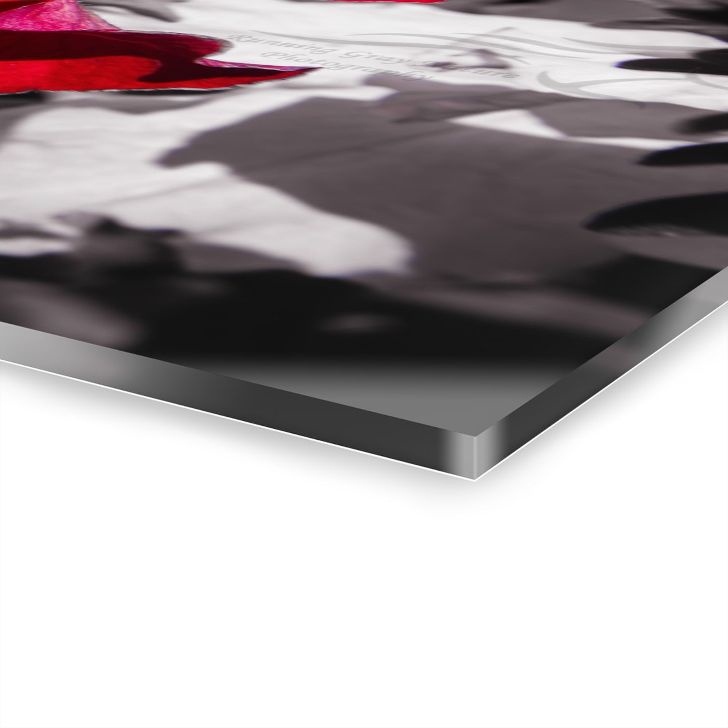 Black and Red Flower Acrylic