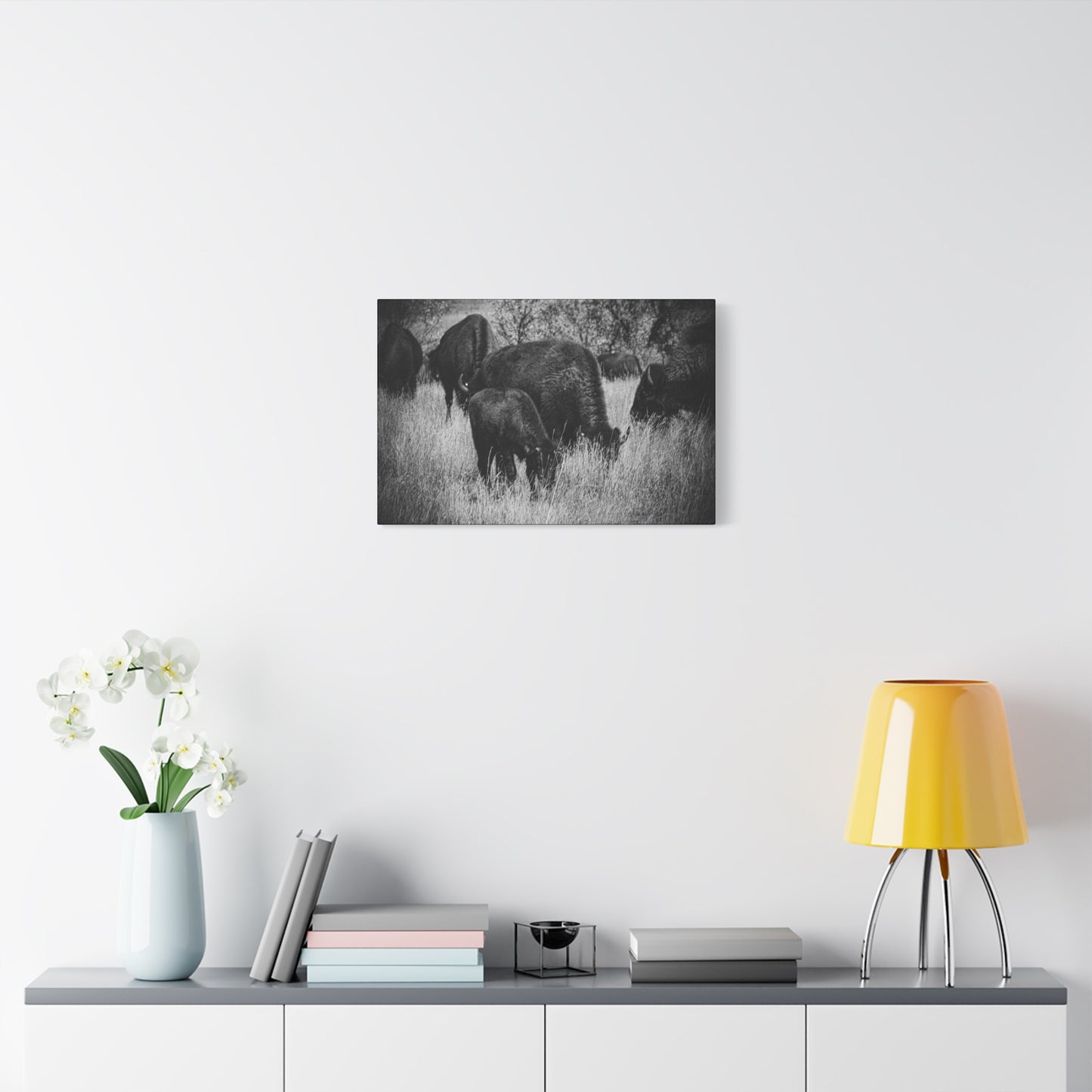 Black and White Buffalo Canvas
