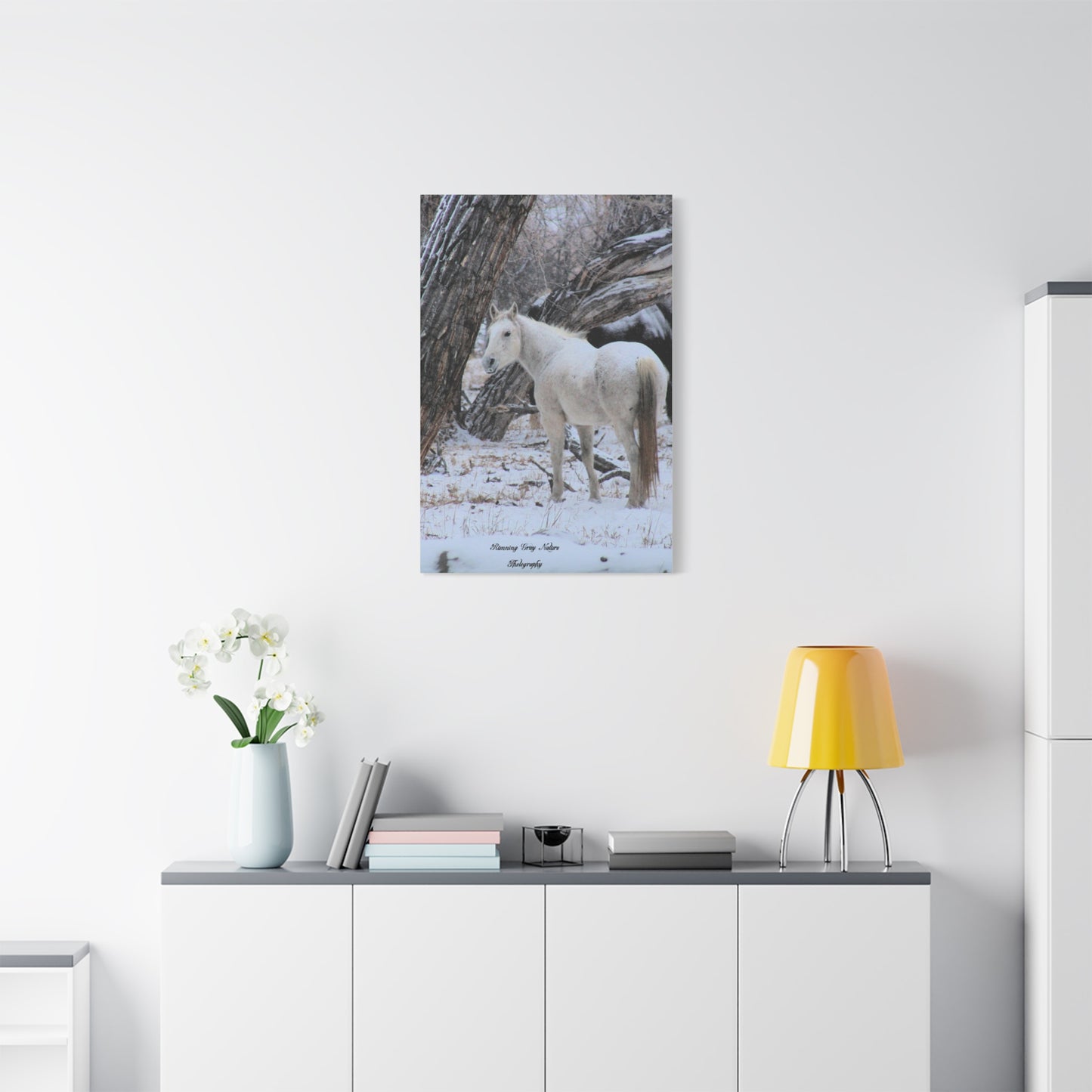 Winter White Horse Matte Canvas, Stretched, 1.25"