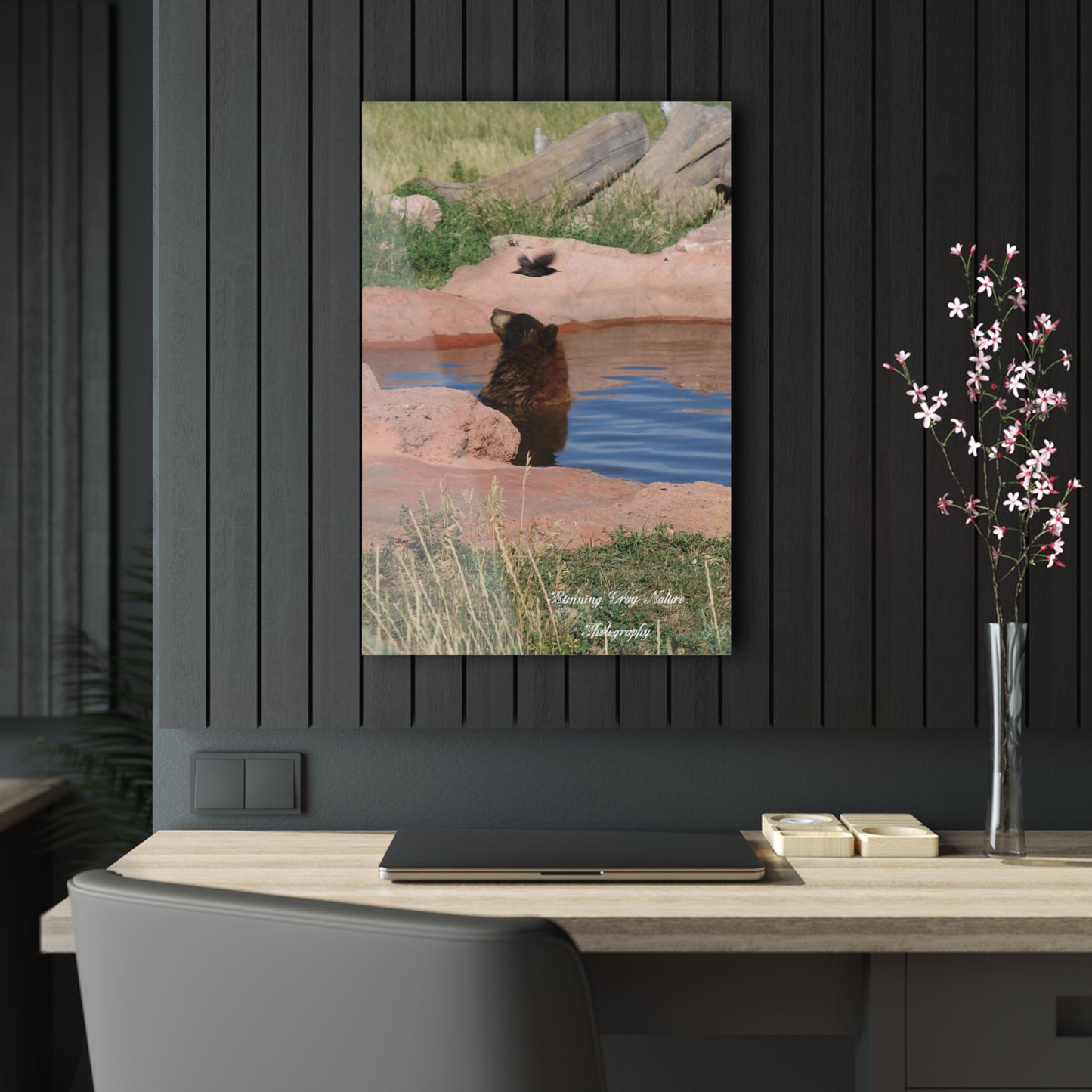 Bird Watching Acrylic Prints