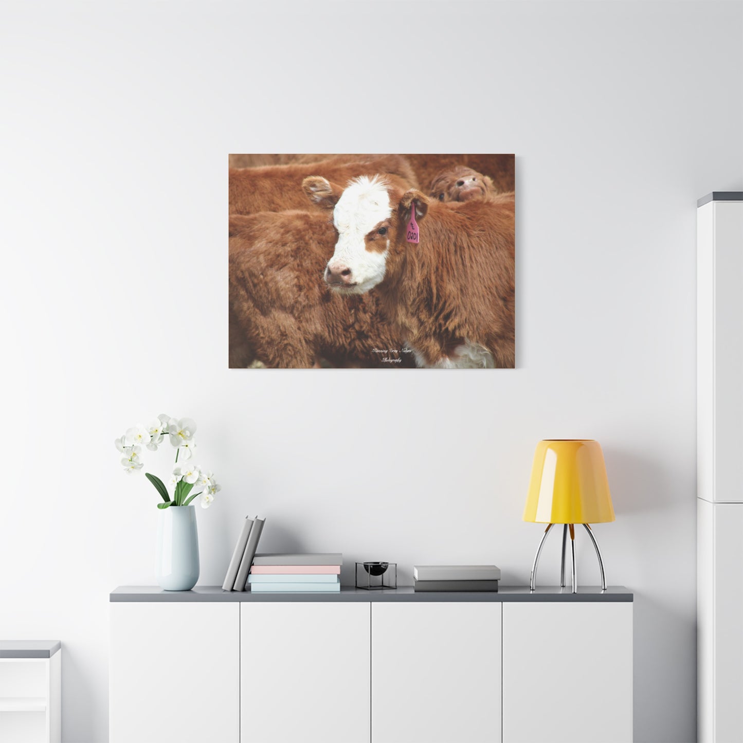 Red, White-Faced Calf Matte Canvas, Stretched, 1.25"