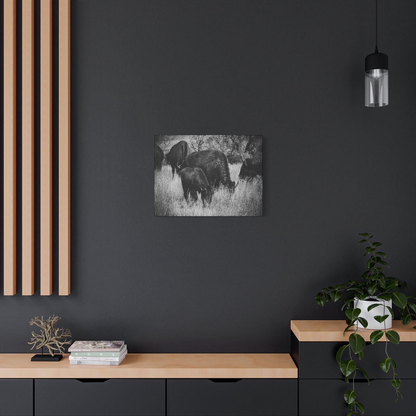 Black and White Buffalo Canvas