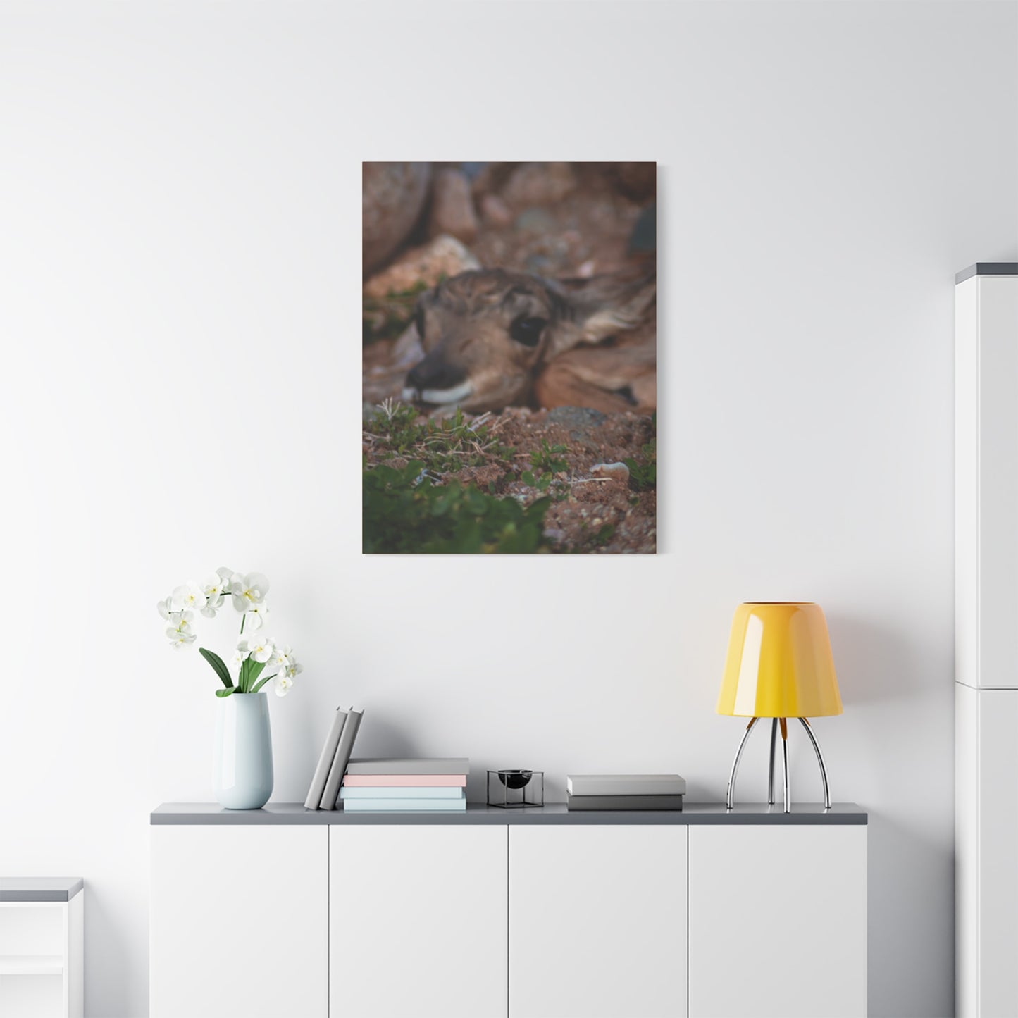 Gentle Antelope Fawn Canvas