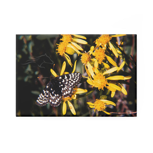 Butterfly Bloom Magnet