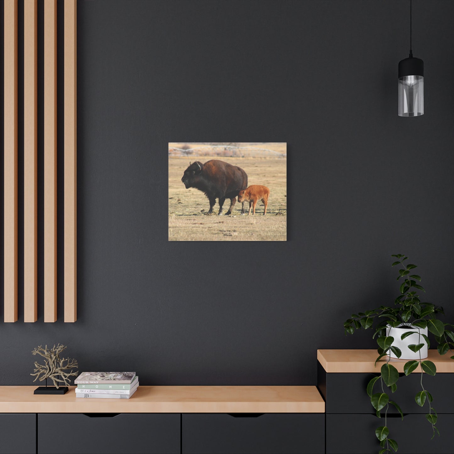 Momma and Baby Buffalo Matte Canvas, Stretched, 1.25"