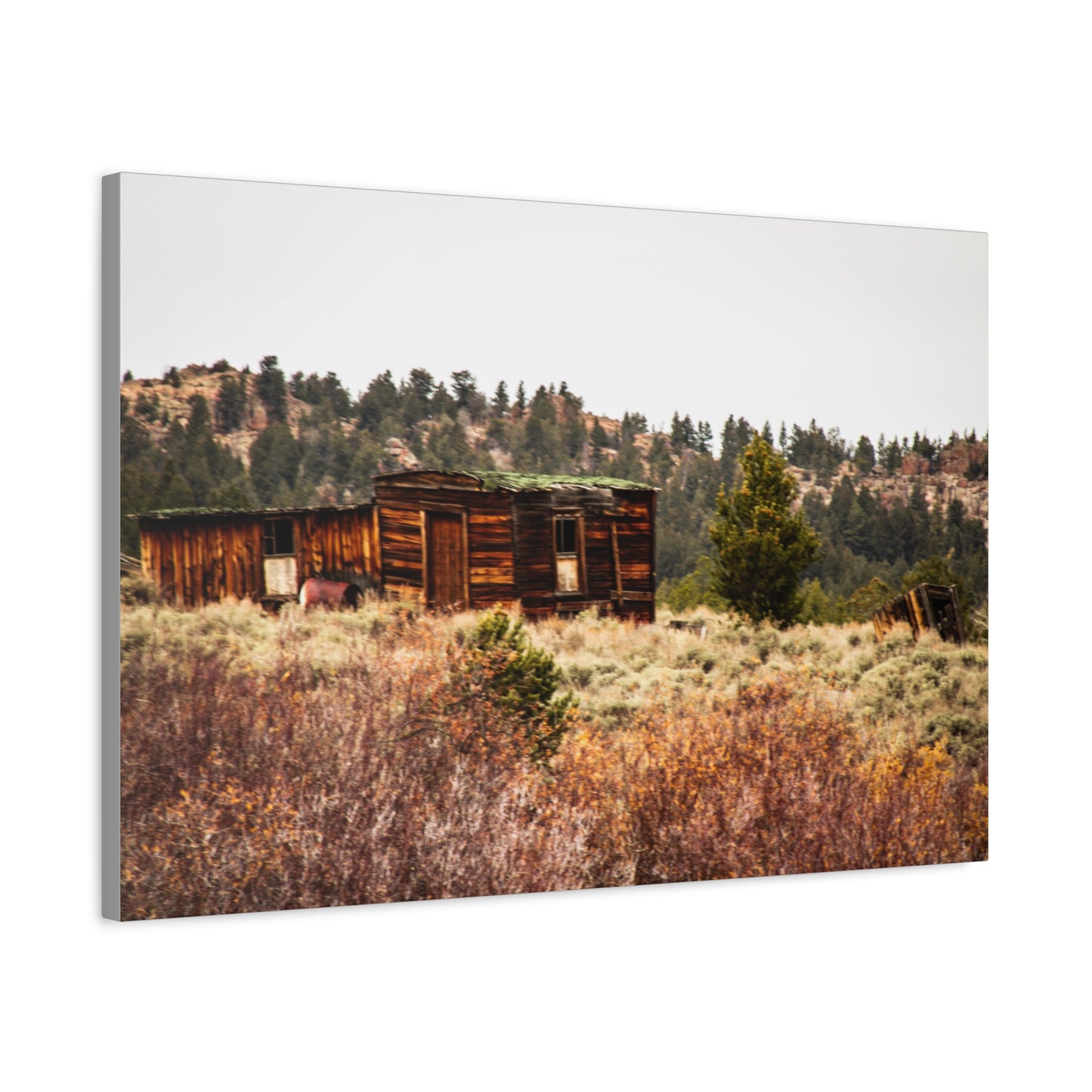 Rustic Landscape Canvas
