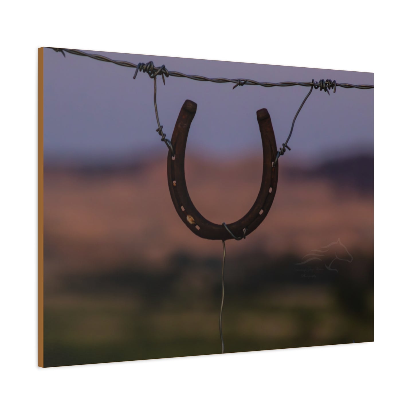Rustic Horseshoe Canvas