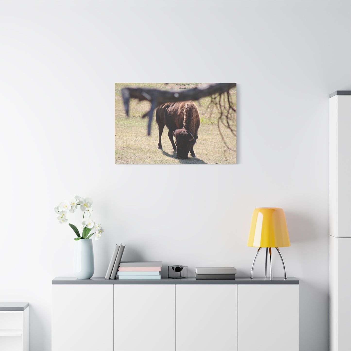 Buffalo Matte Canvas, Stretched, 1.25"