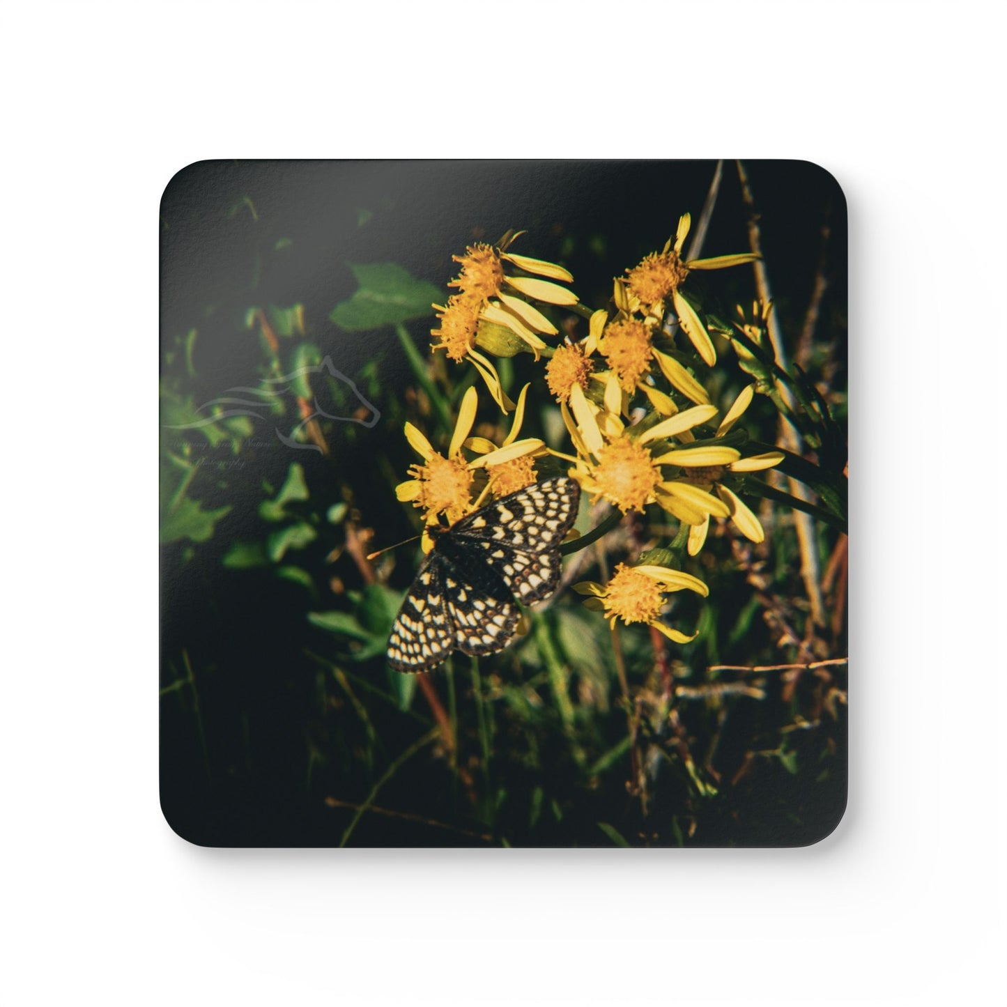 Checkerspot Butterfly Cork Coaster Set