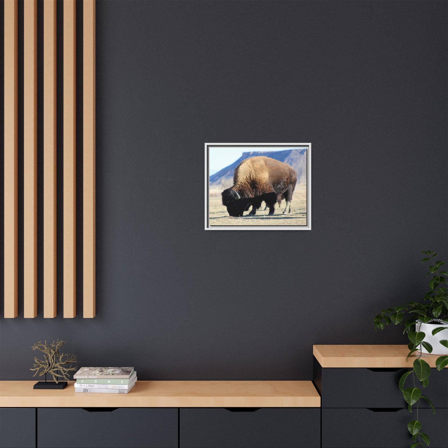 Big Daddy Buffalo Framed Canvas